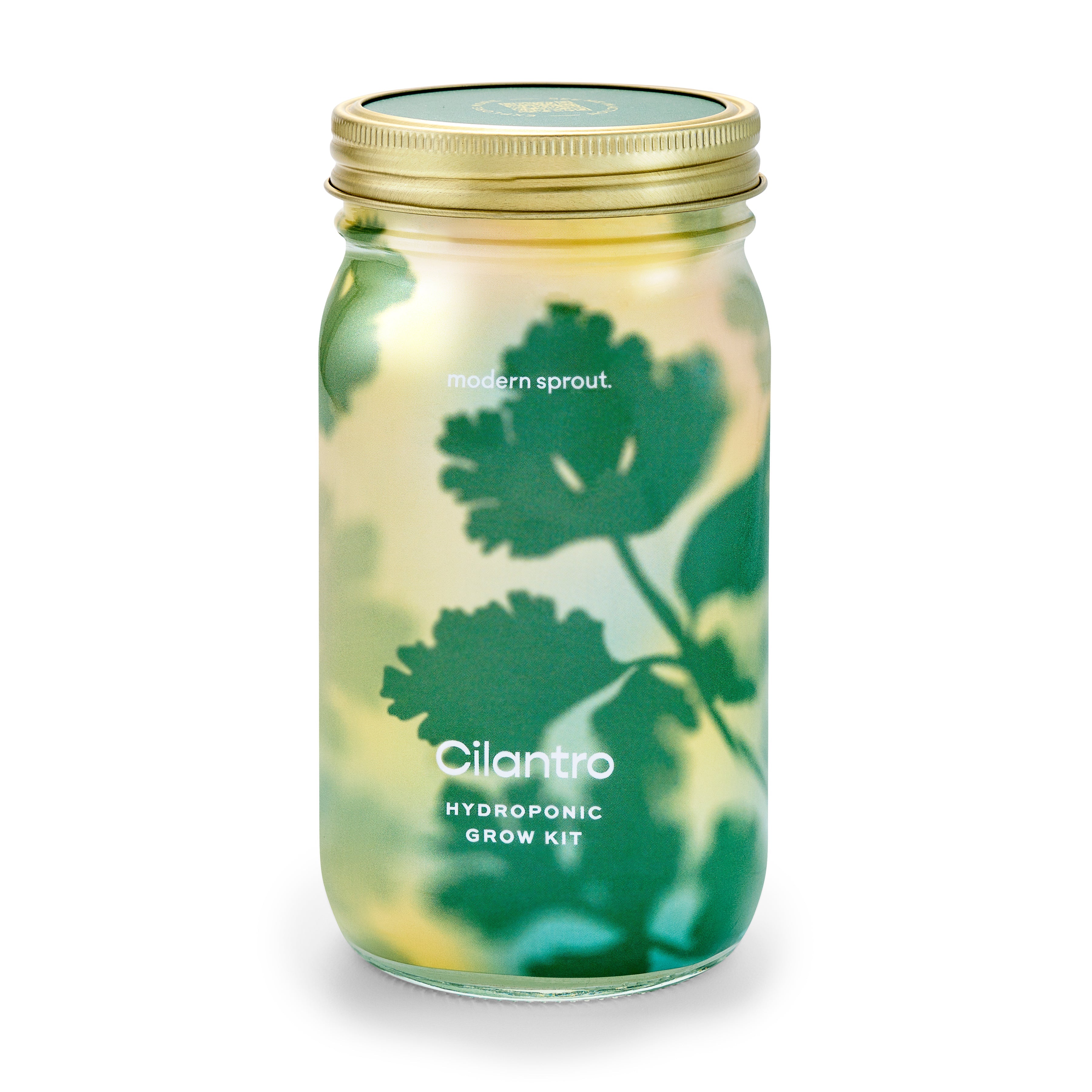 Modern Sprout Garden Jars - Organic Herbs