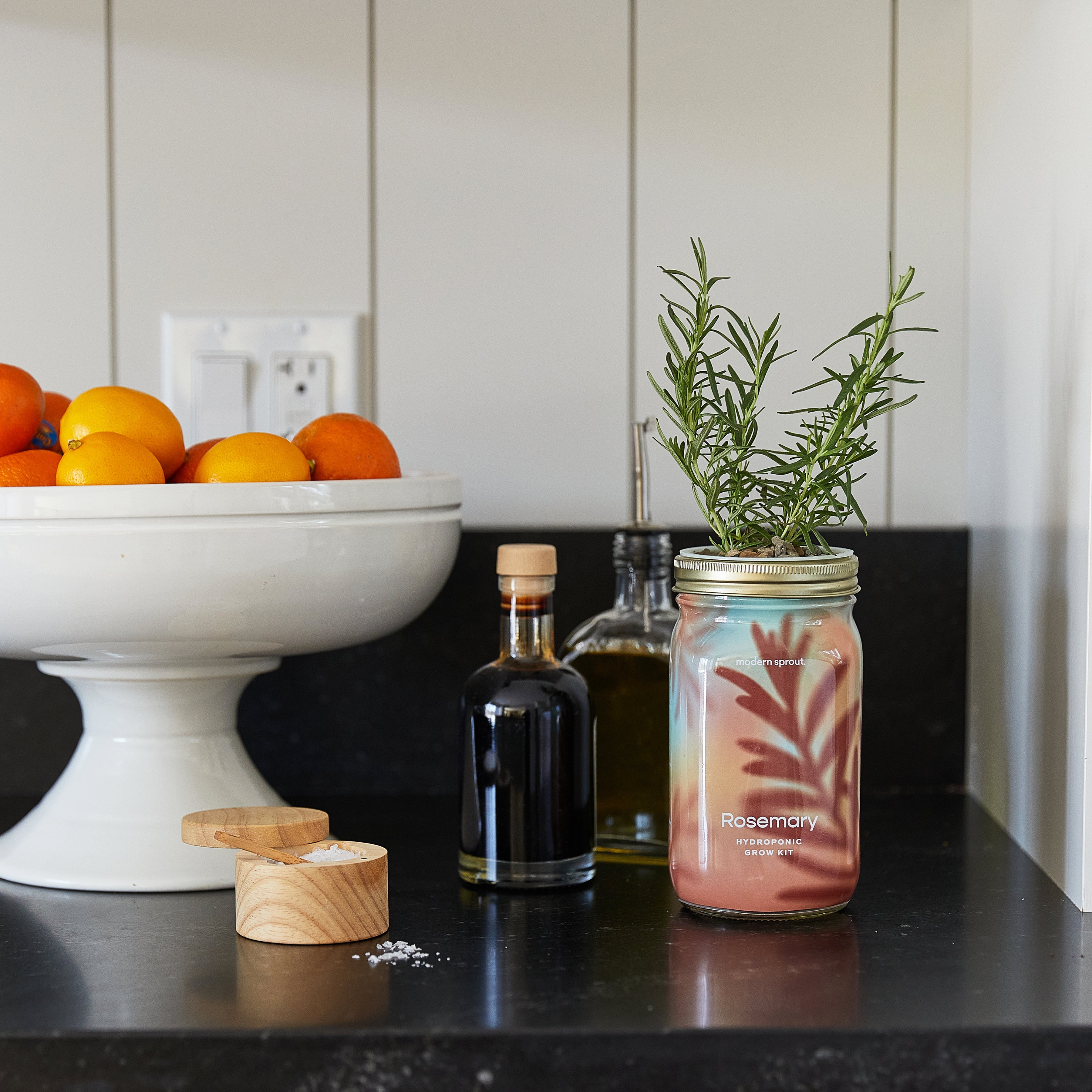 Modern Sprout Garden Jars - Organic Herbs