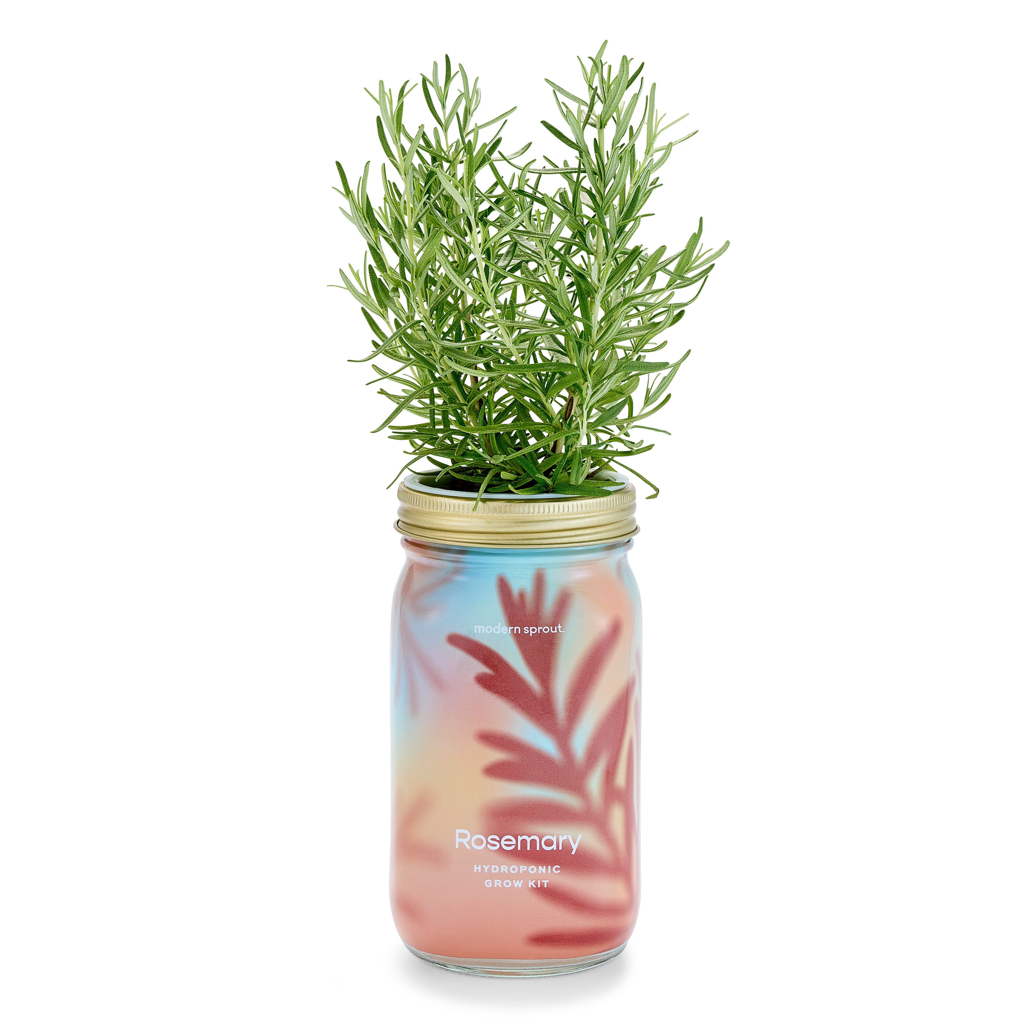 Modern Sprout Garden Jars - Organic Herbs