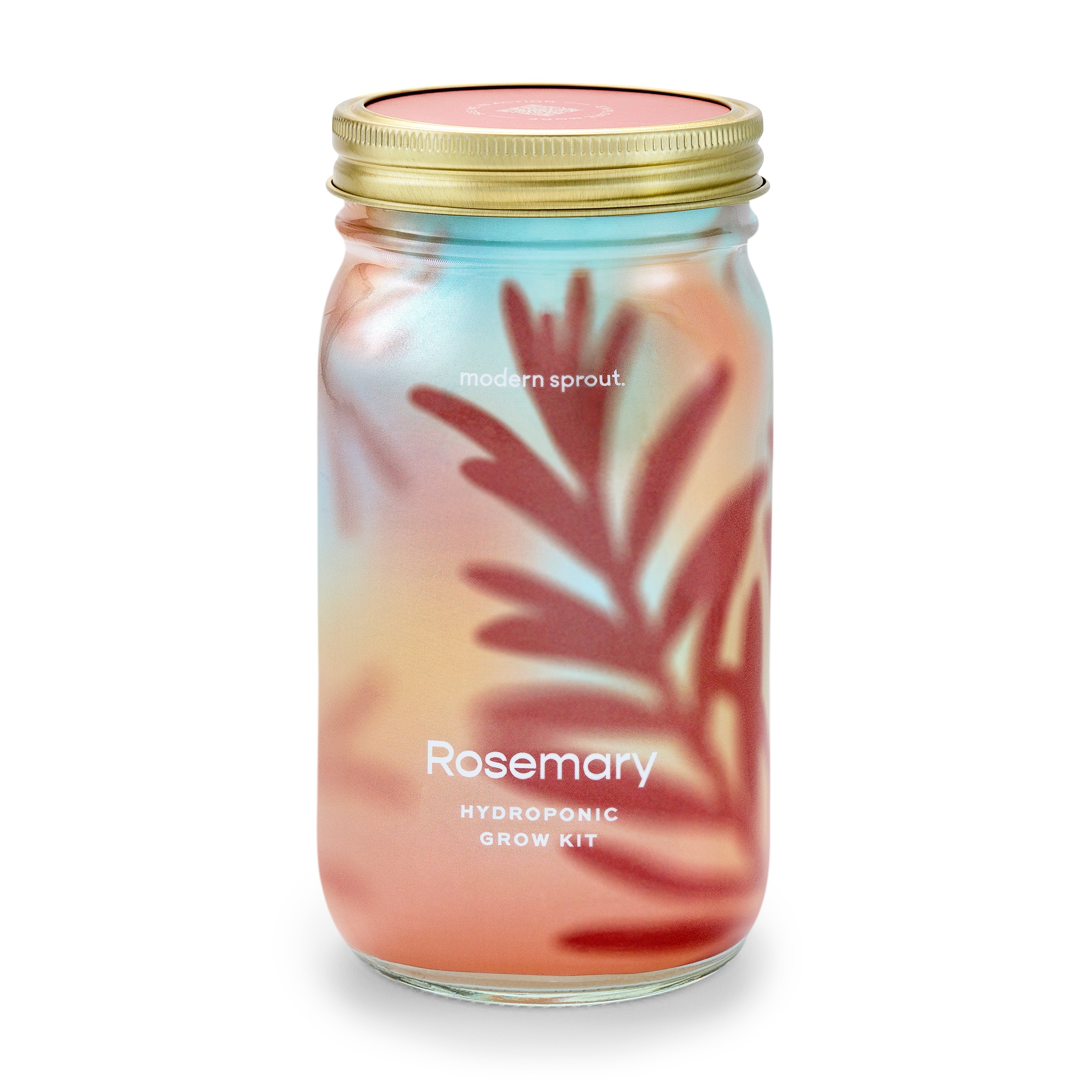 Modern Sprout Garden Jars - Organic Herbs