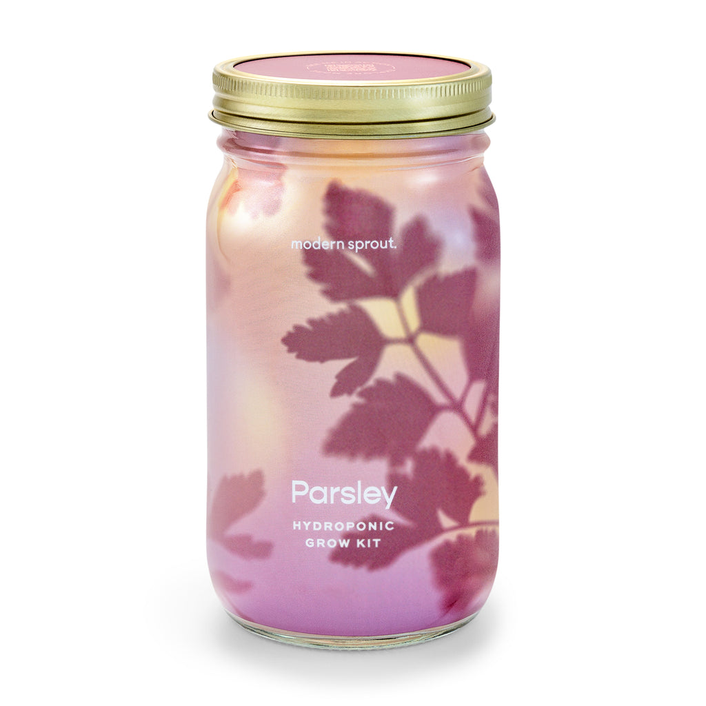 Modern Sprout Garden Jars - Organic Herbs