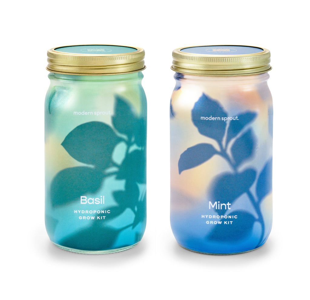 Modern Sprout Garden Jars - Organic Herbs