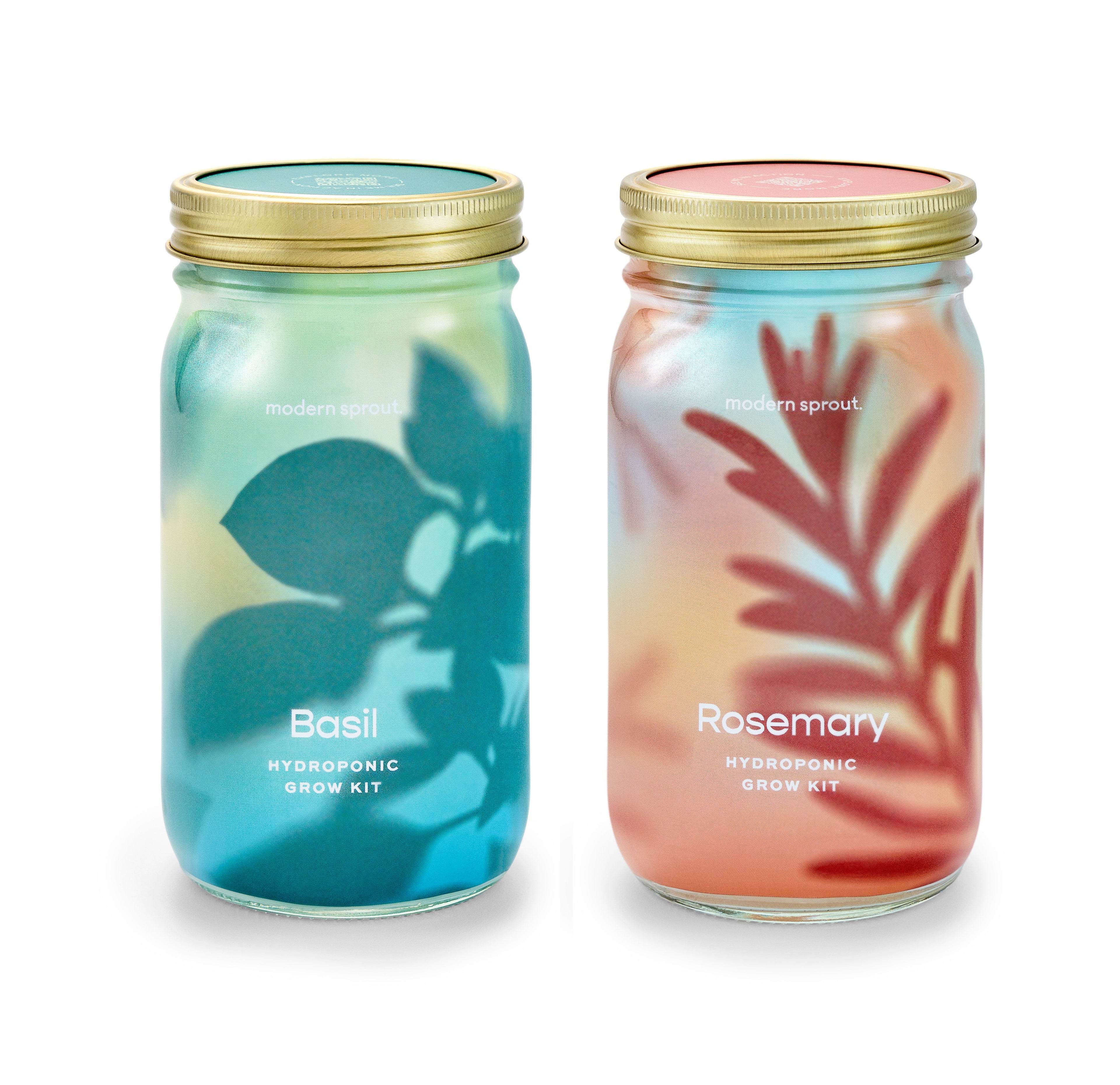 Modern Sprout Garden Jars - Organic Herbs Basil+Rosemary 2pk | Heirloom Boulevard