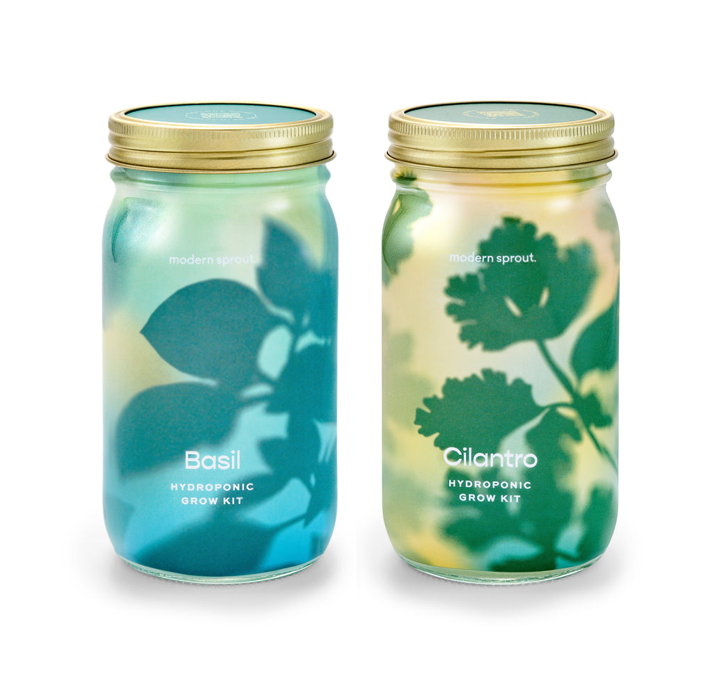 Modern Sprout Garden Jars - Organic Herbs Basil+Cilantro 2pk | Heirloom Boulevard