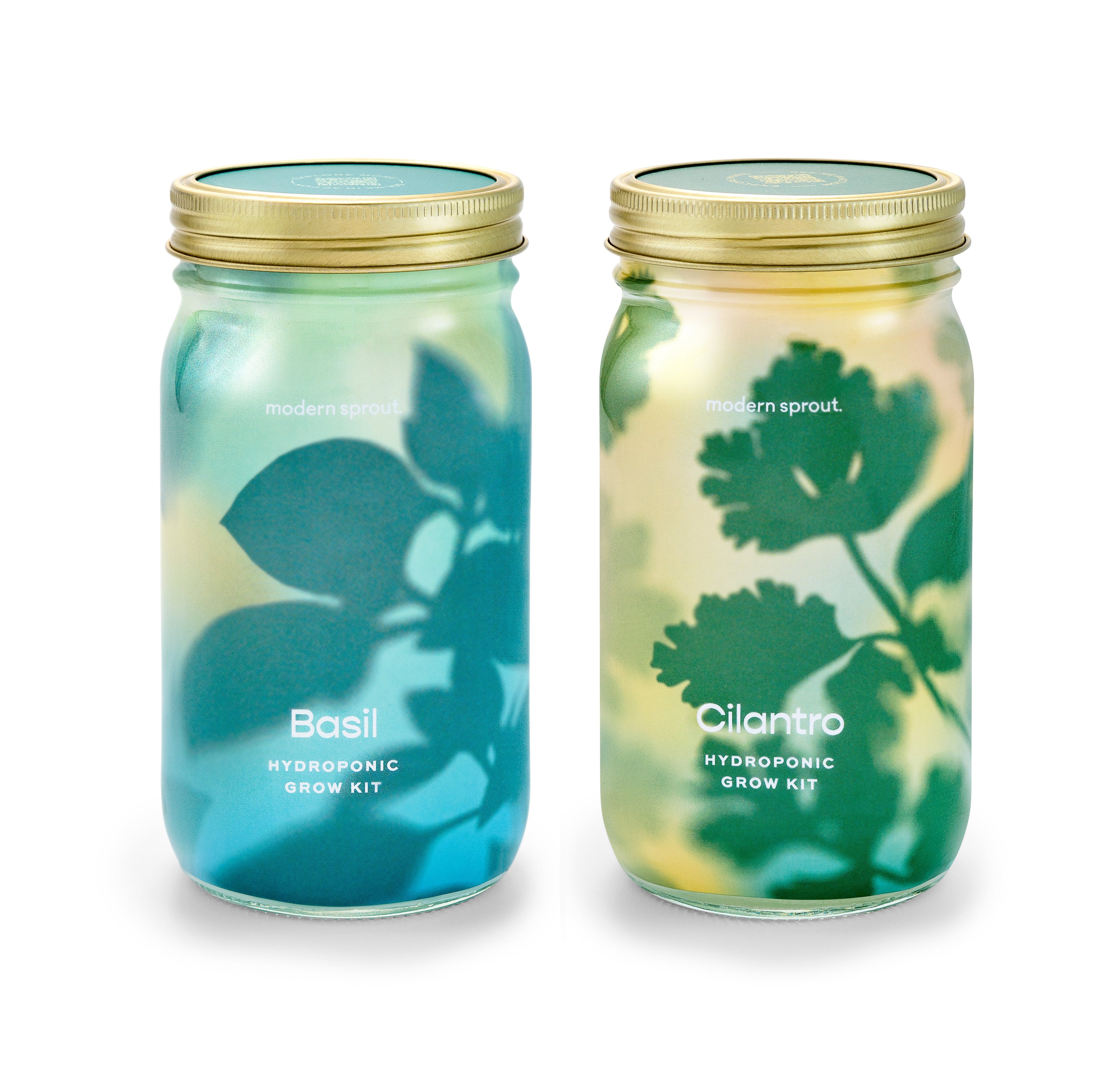 Modern Sprout Garden Jars - Organic Herbs Basil+Cilantro 2pk | Heirloom Boulevard