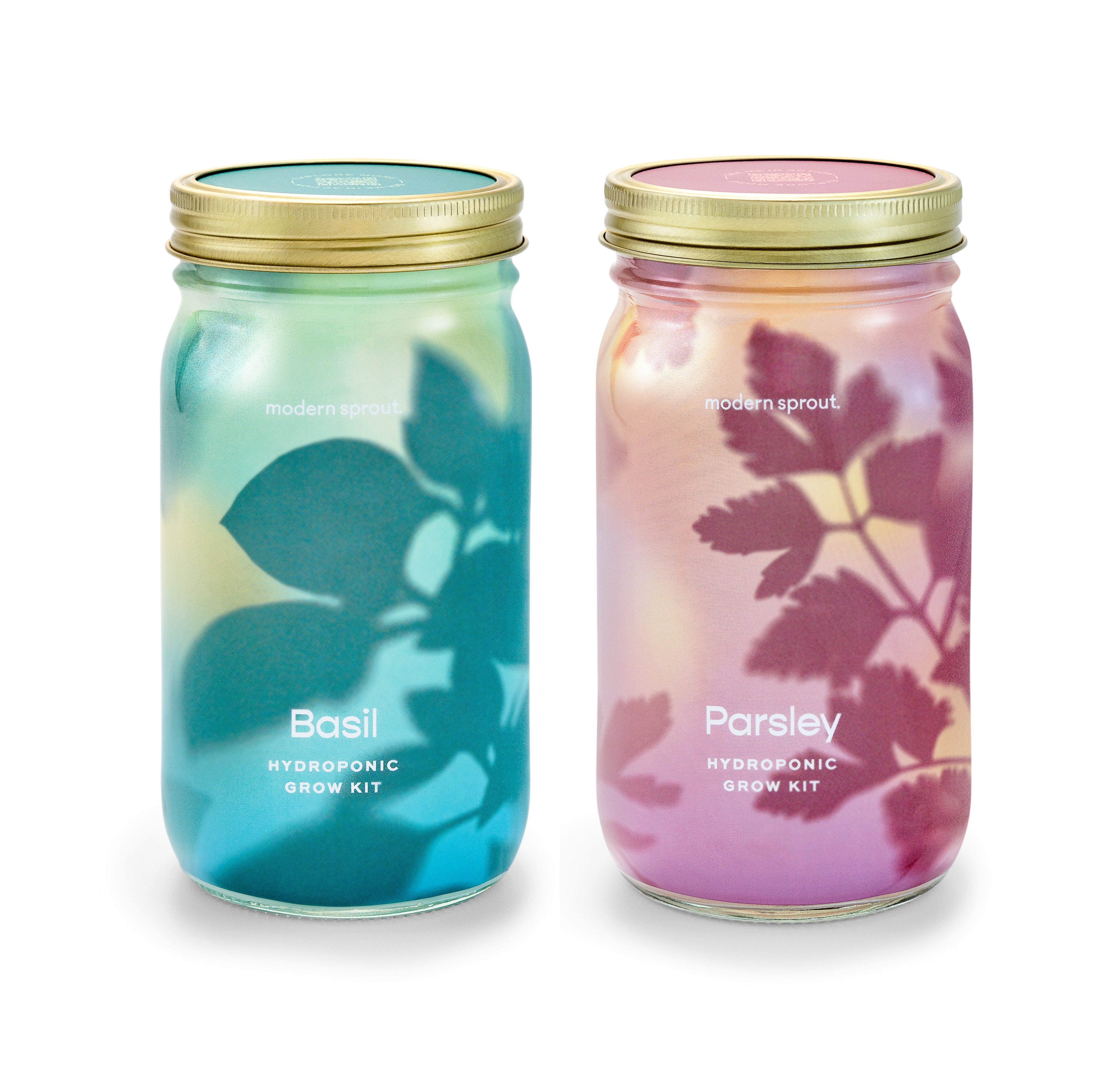 Modern Sprout Garden Jars - Organic Herbs Basil+Parsley 2pk | Heirloom Boulevard