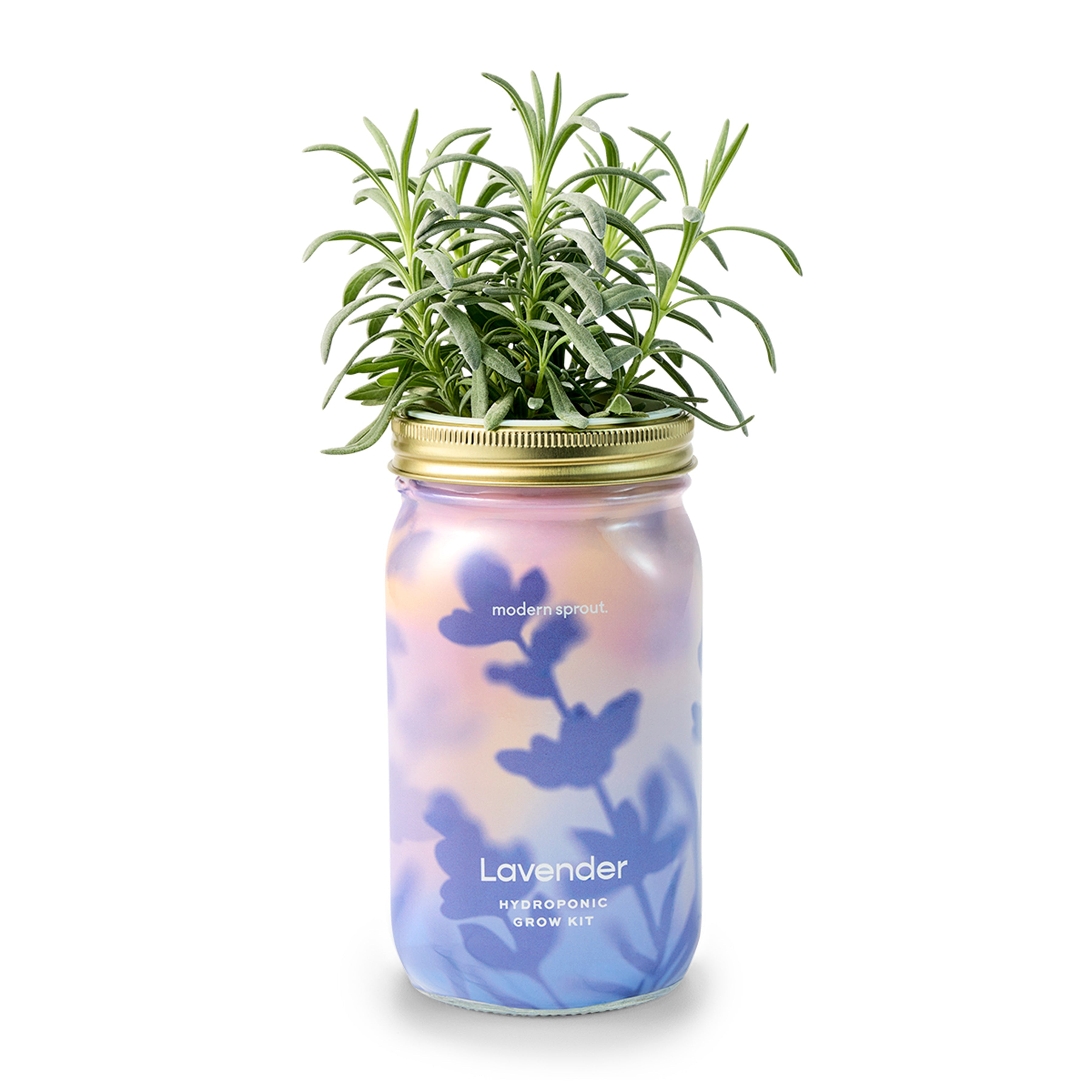 Modern Sprout Garden Jars - Organic Herbs | Heirloom Boulevard