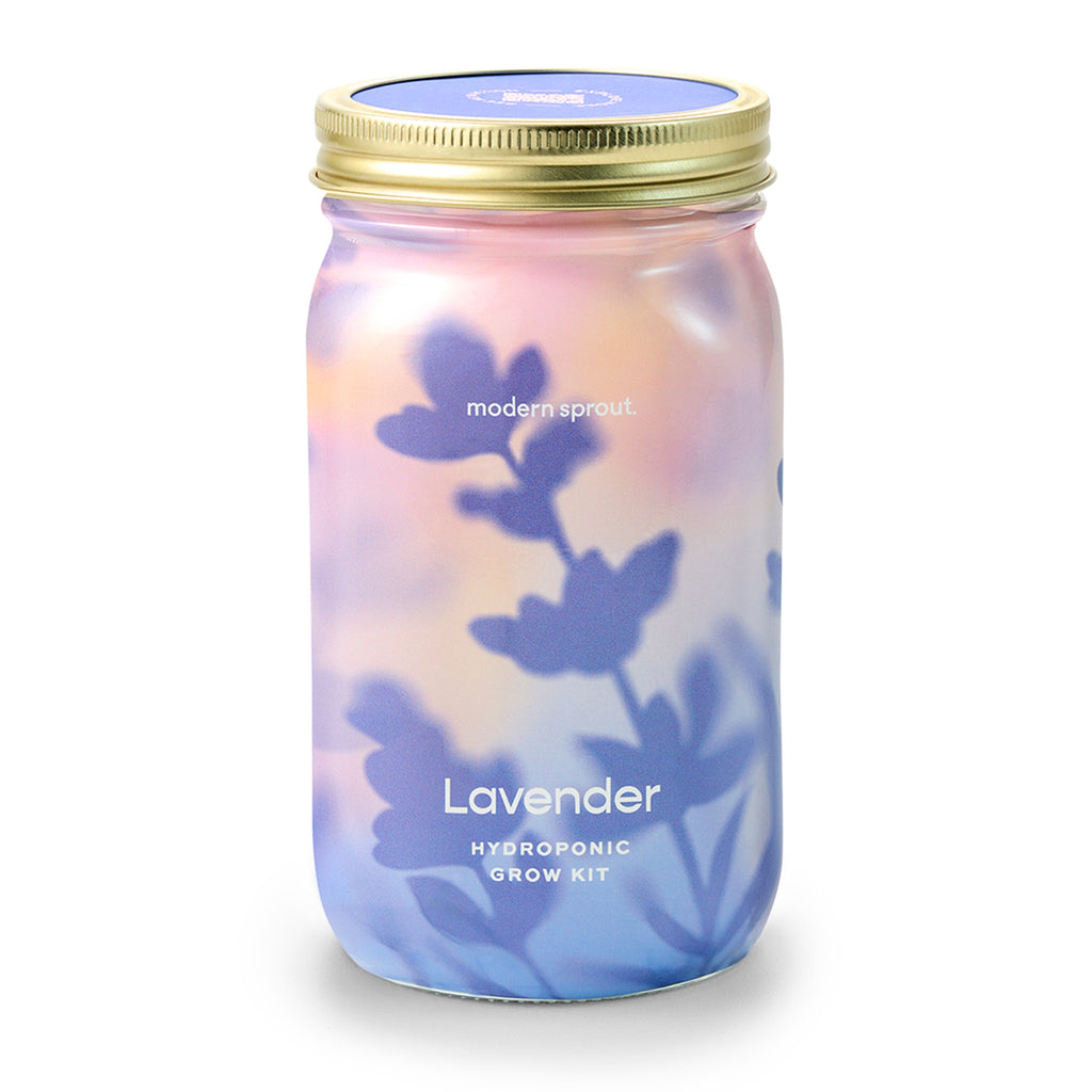 Modern Sprout Garden Jars - Organic Herbs Lavender 1pk | Heirloom Boulevard