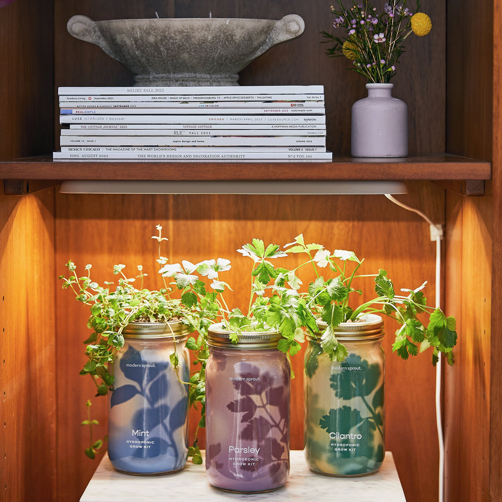 Modern Sprout Smart Growbar | Heirloom Boulevard