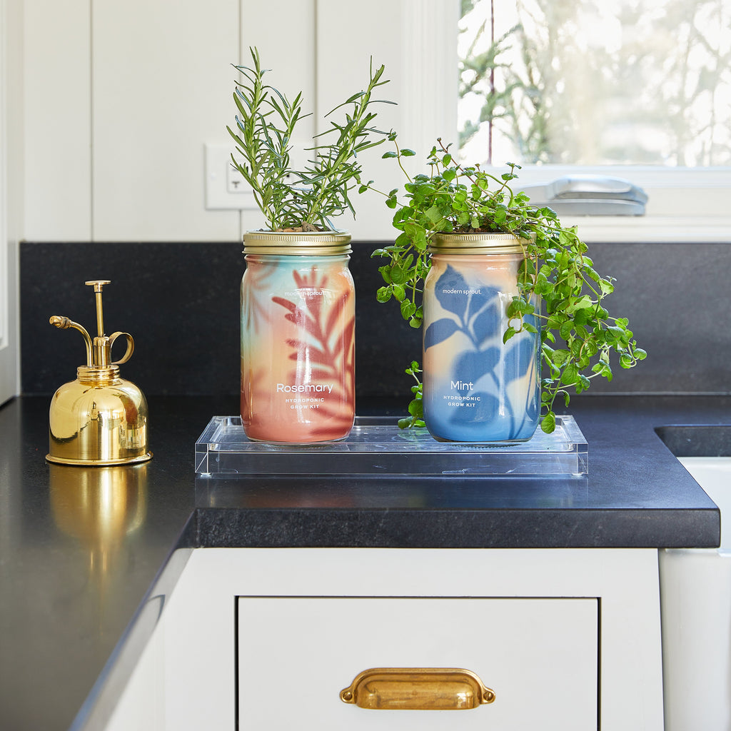 Modern Sprout Garden Jars - Organic Herbs