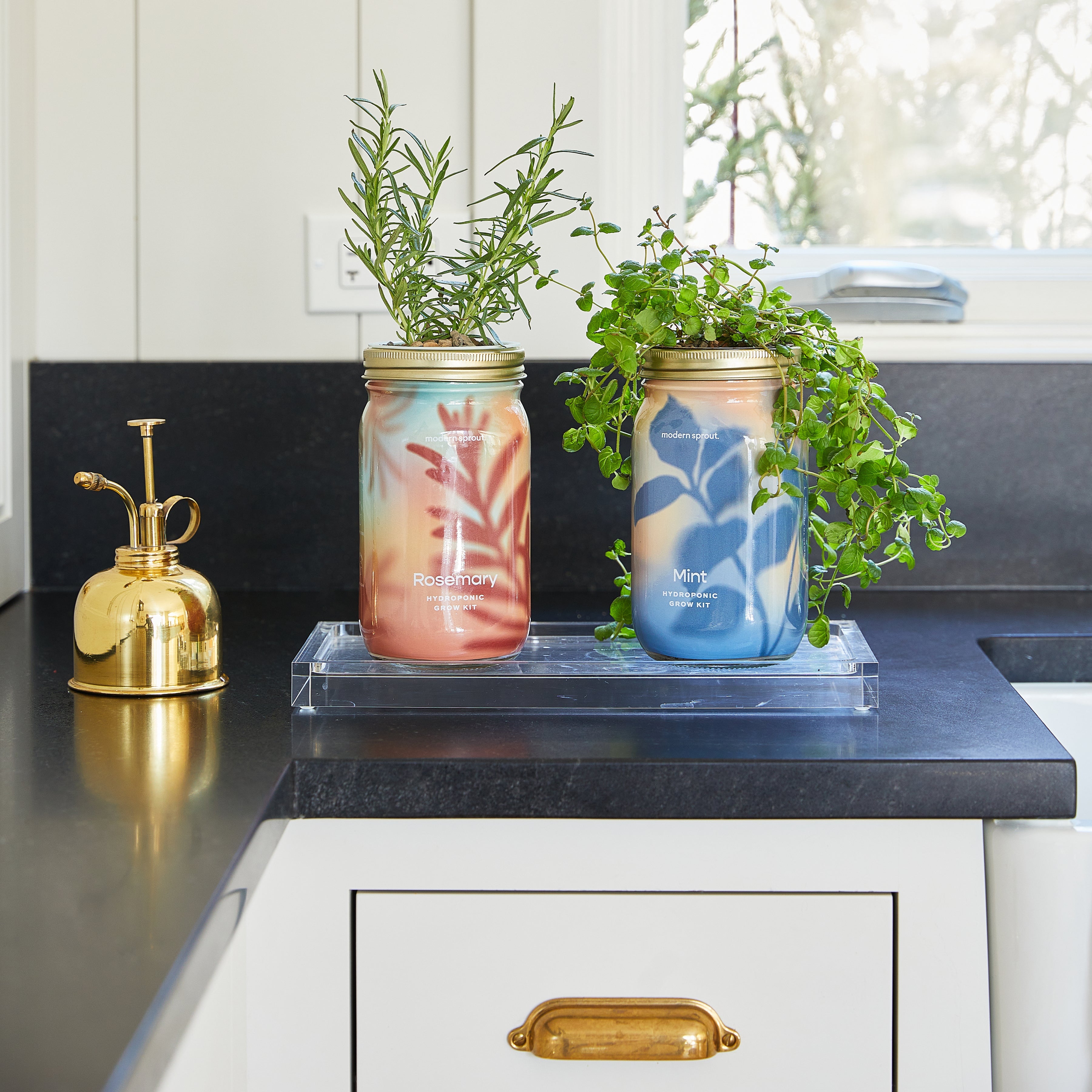 Modern Sprout Garden Jars - Organic Herbs