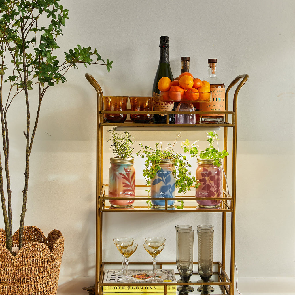 Modern Sprout Garden Jars - Organic Herbs