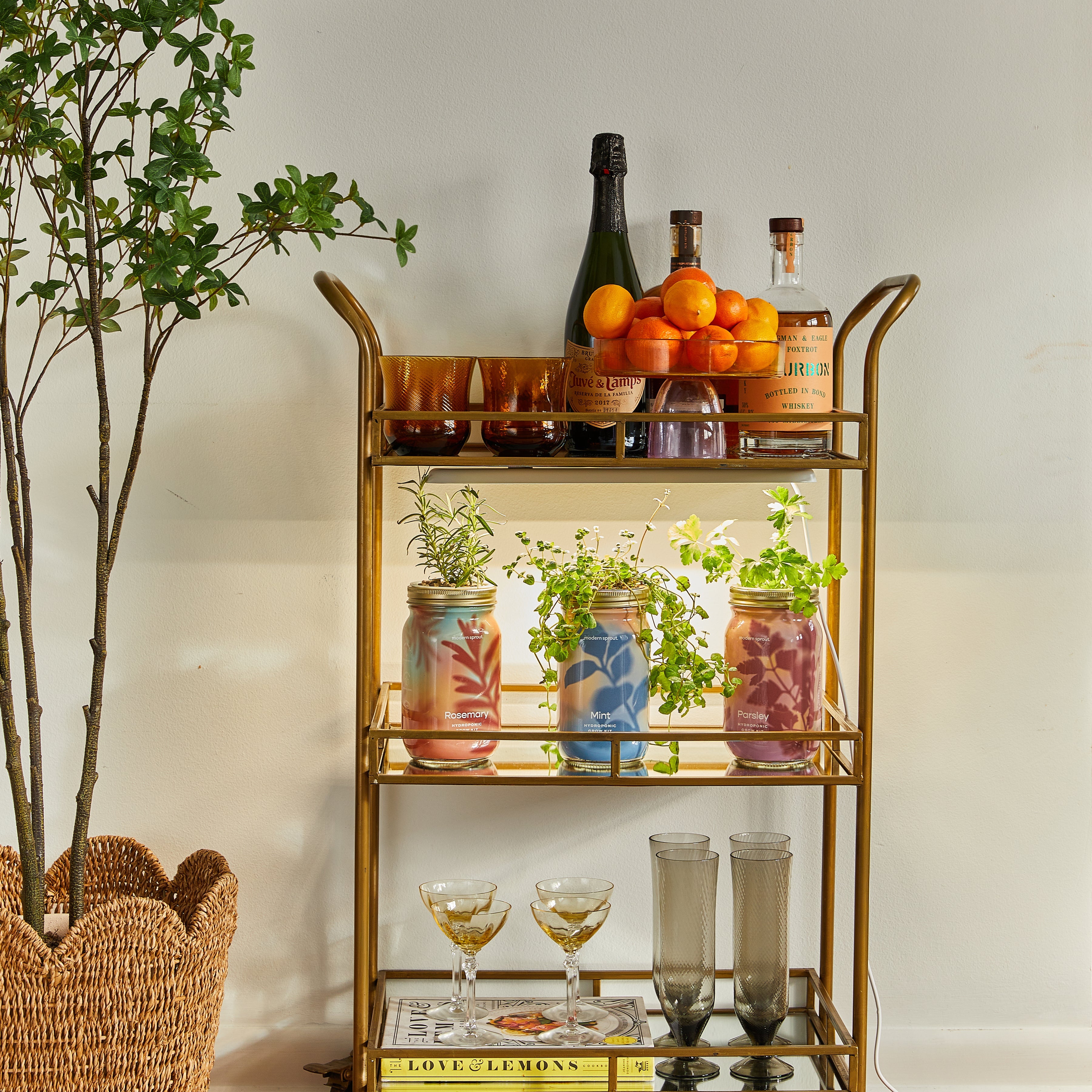 Modern Sprout Garden Jars - Organic Herbs