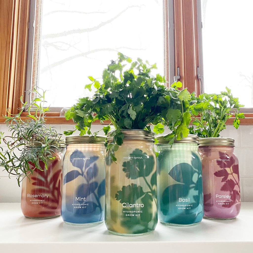 Modern Sprout Garden Jars - Organic Herbs | Heirloom Boulevard