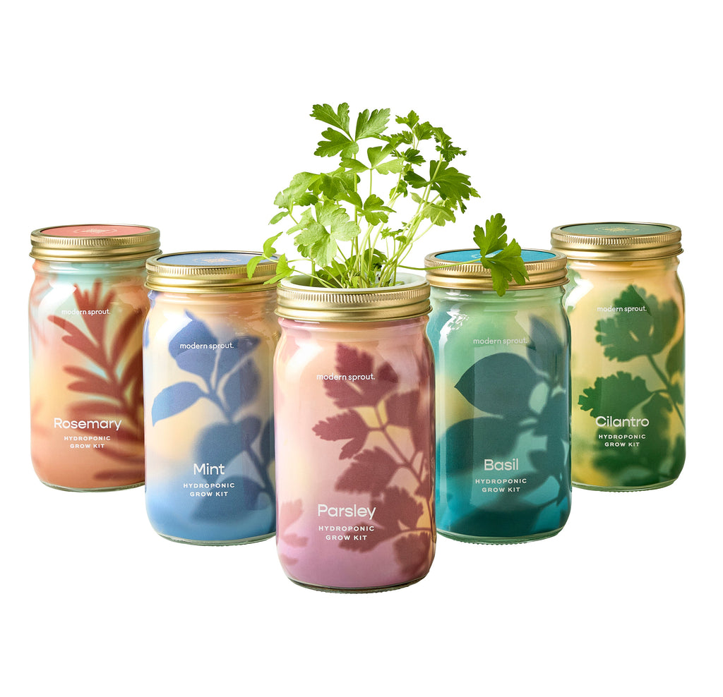 Modern Sprout Garden Jars - Organic Herbs