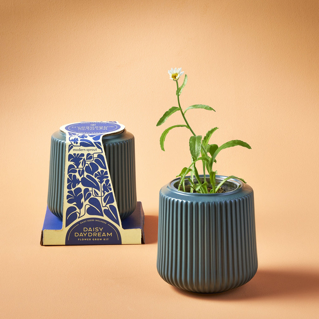 Modern Sprout Flower Grow Kits