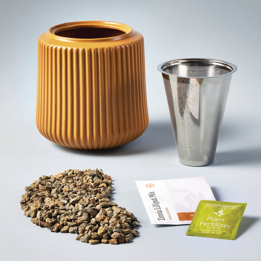Modern Sprout Flower Grow Kits