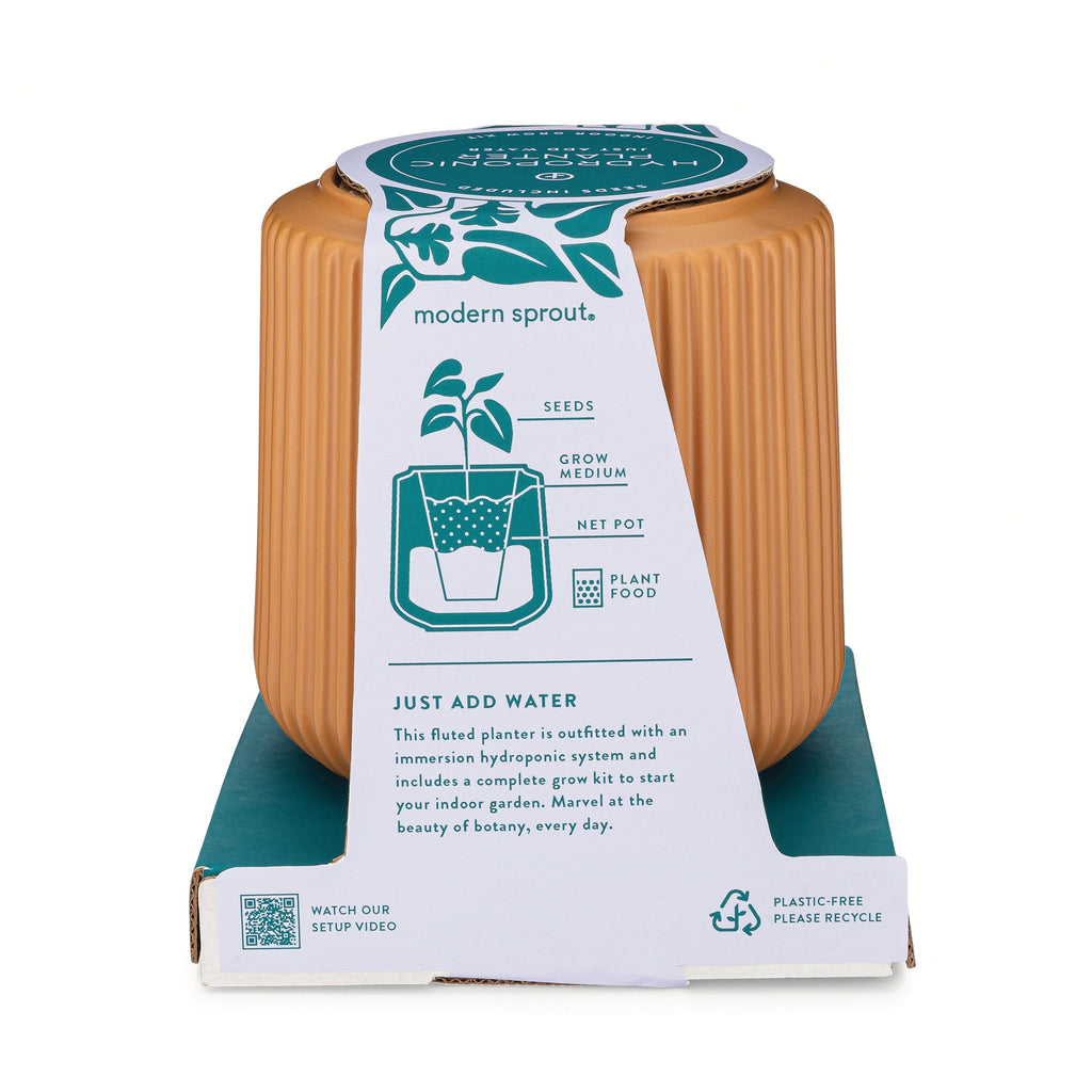 Modern Sprout Flower Grow Kits