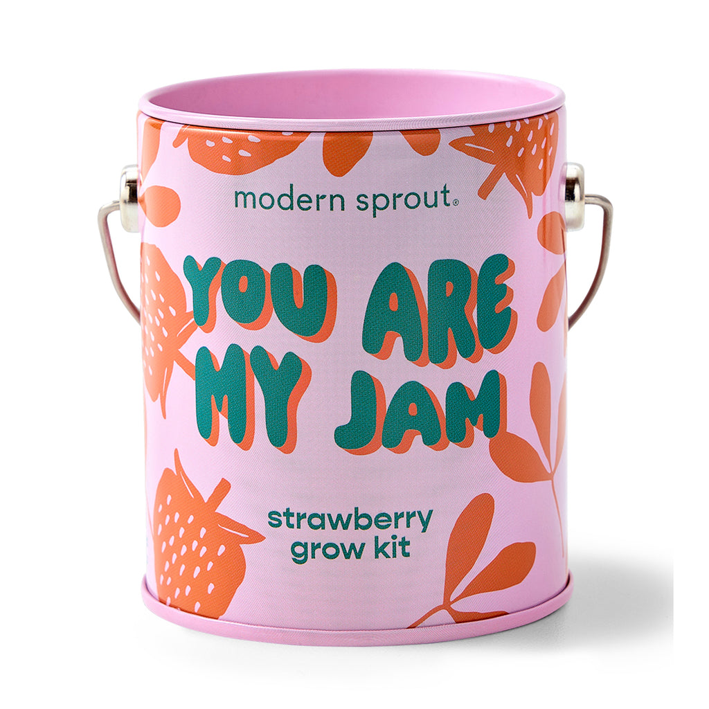Modern Sprout Complimentary Colors Grow Kits You are My Jam 1pk | Heirloom Boulevard