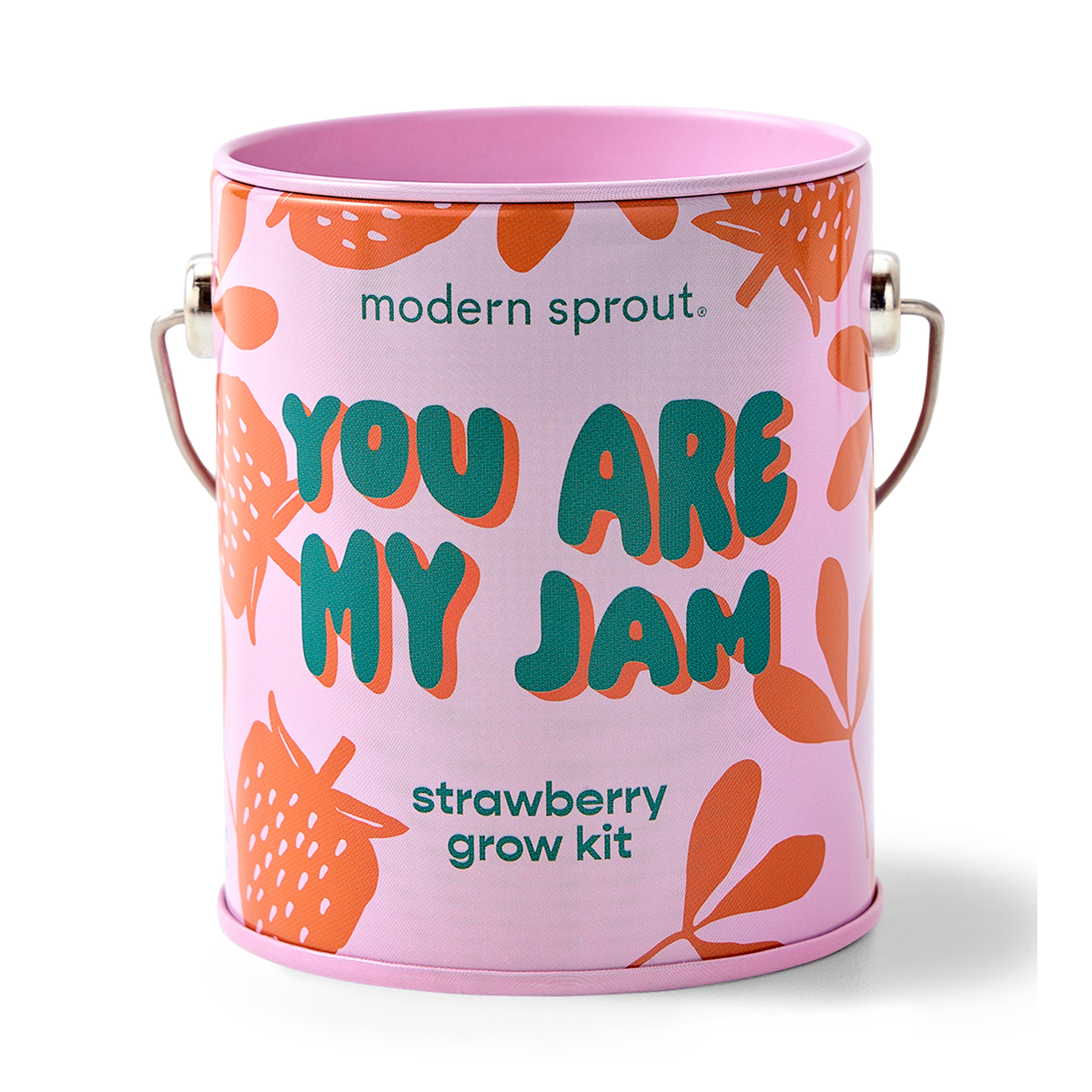 Modern Sprout Complimentary Colors Grow Kits You are My Jam 1pk | Heirloom Boulevard