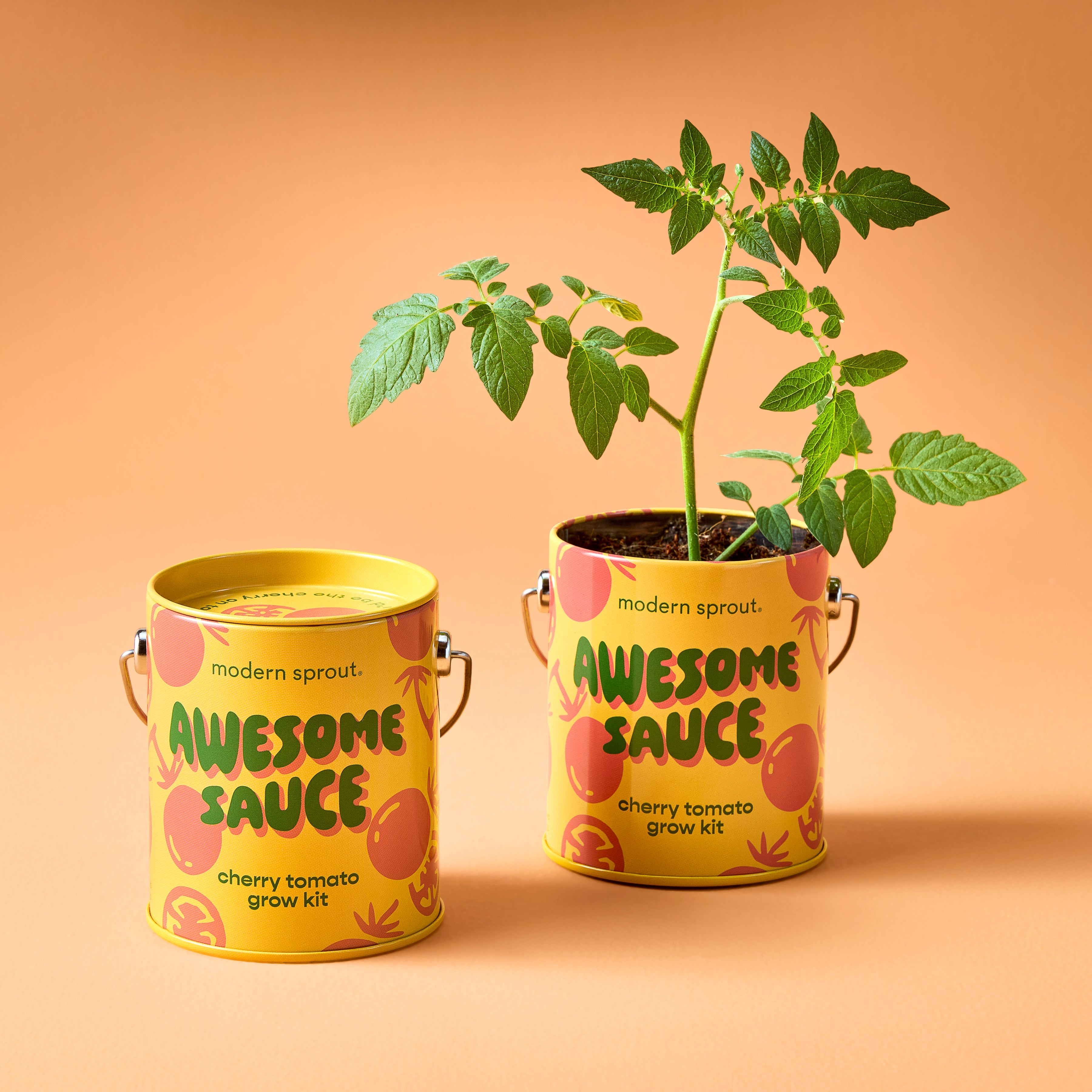 Modern Sprout Complimentary Colors Grow Kits