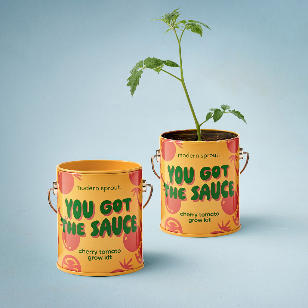 Modern Sprout Complimentary Colors Grow Kits | Heirloom Boulevard