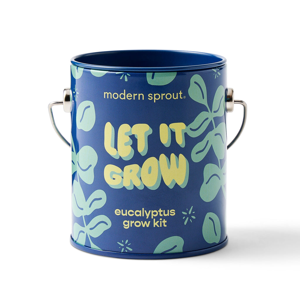 Modern Sprout Complimentary Colors Grow Kits Let It Grow 1pk | Heirloom Boulevard