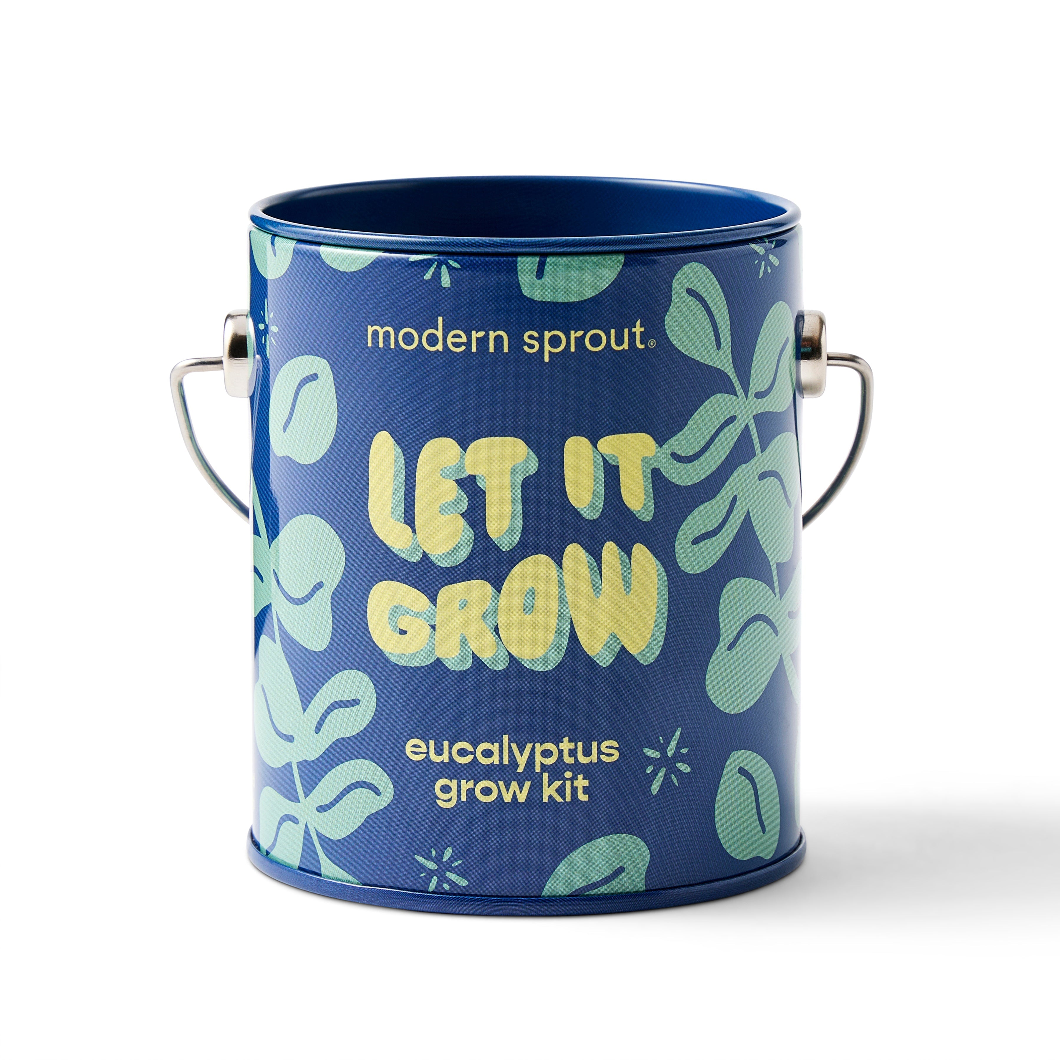 Modern Sprout Complimentary Colors Grow Kits Let It Grow 1pk | Heirloom Boulevard