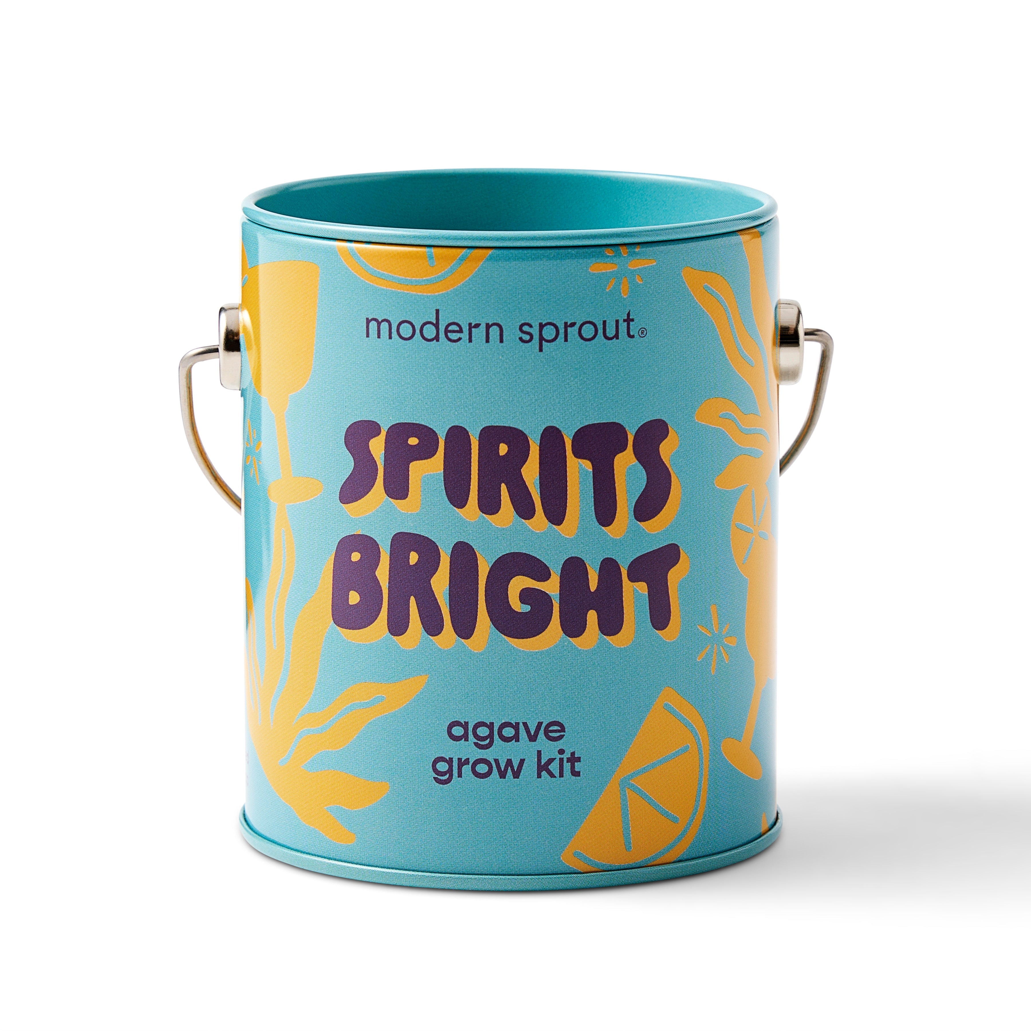 Modern Sprout Complimentary Colors Grow Kits Spirits Bright 1pk | Heirloom Boulevard