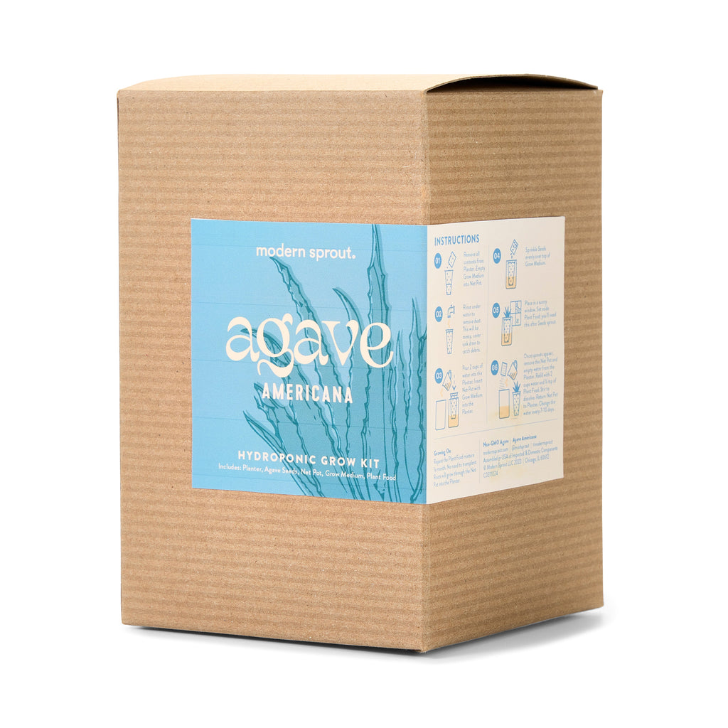 Modern Sprout Agave Grow Kit