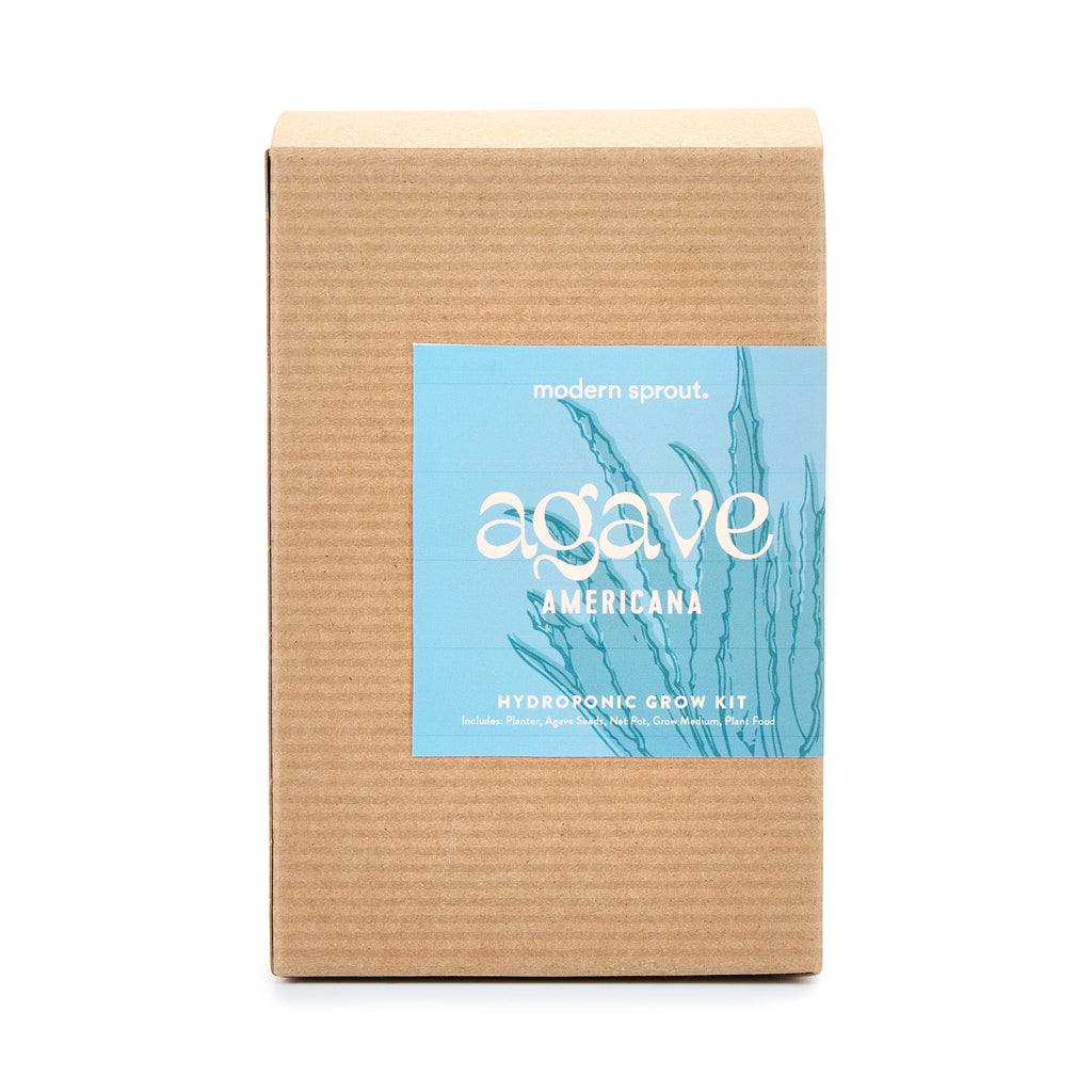Modern Sprout Agave Grow Kit
