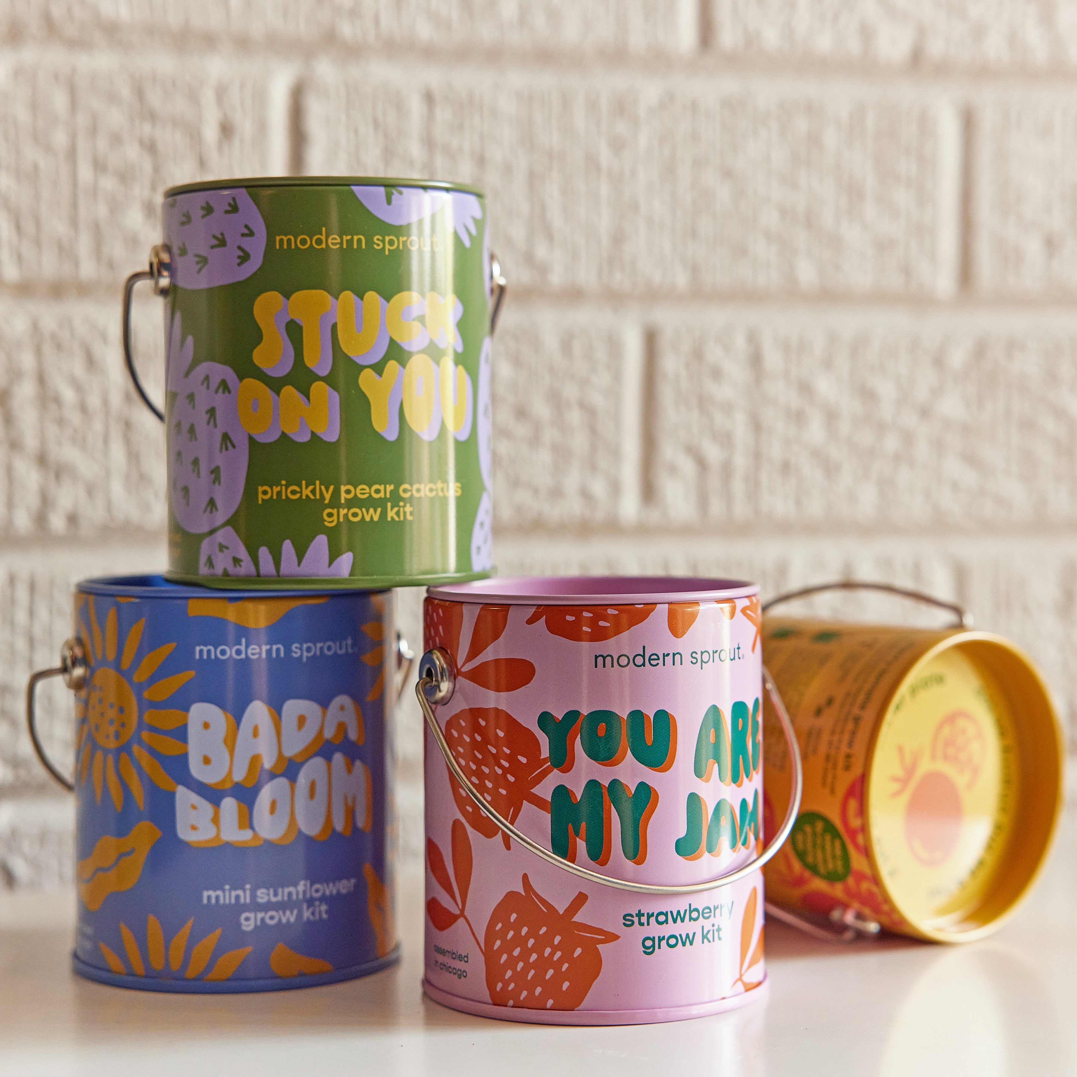 Modern Sprout Complimentary Colors Grow Kits