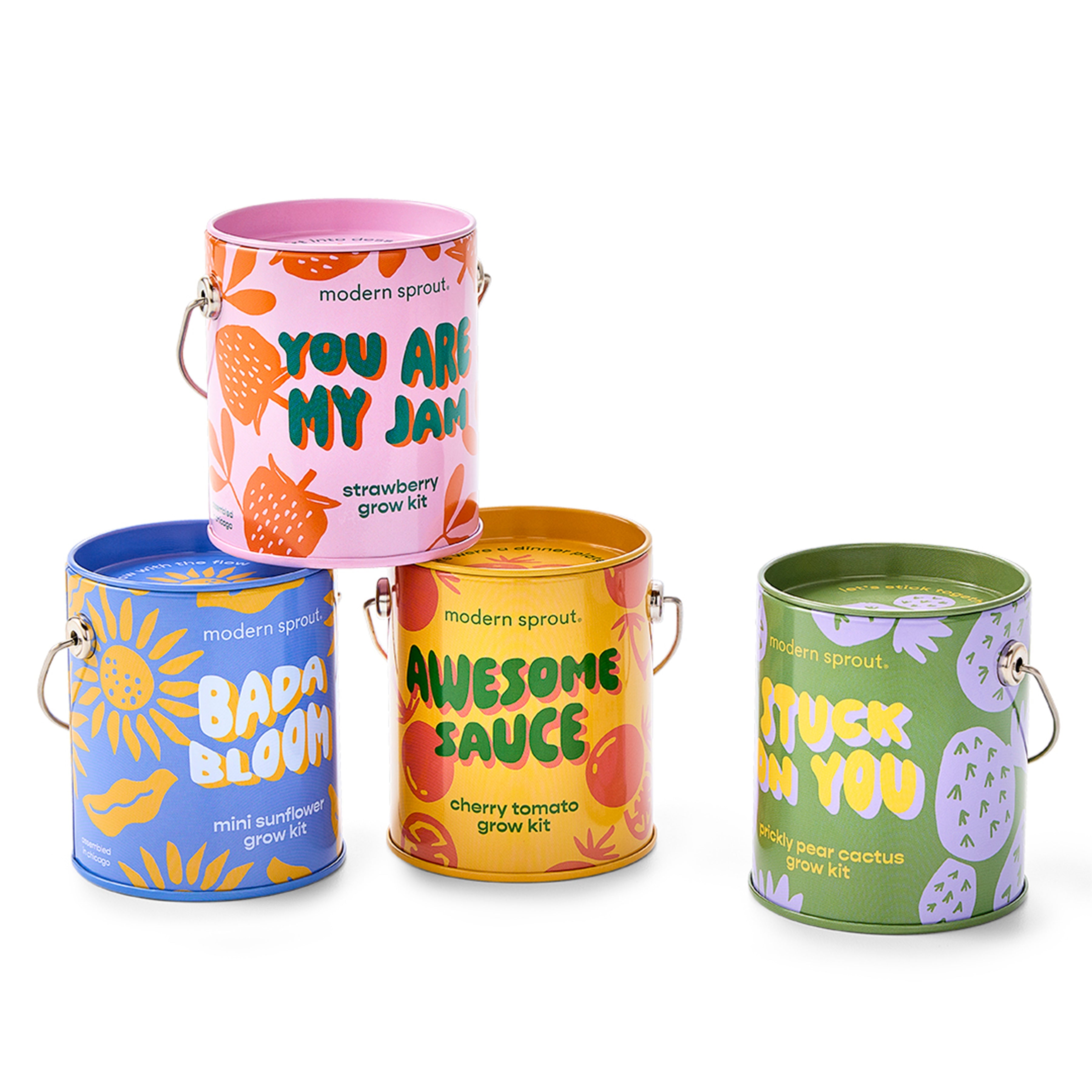 Modern Sprout Complimentary Colors Grow Kits Mixed 4pk | Heirloom Boulevard