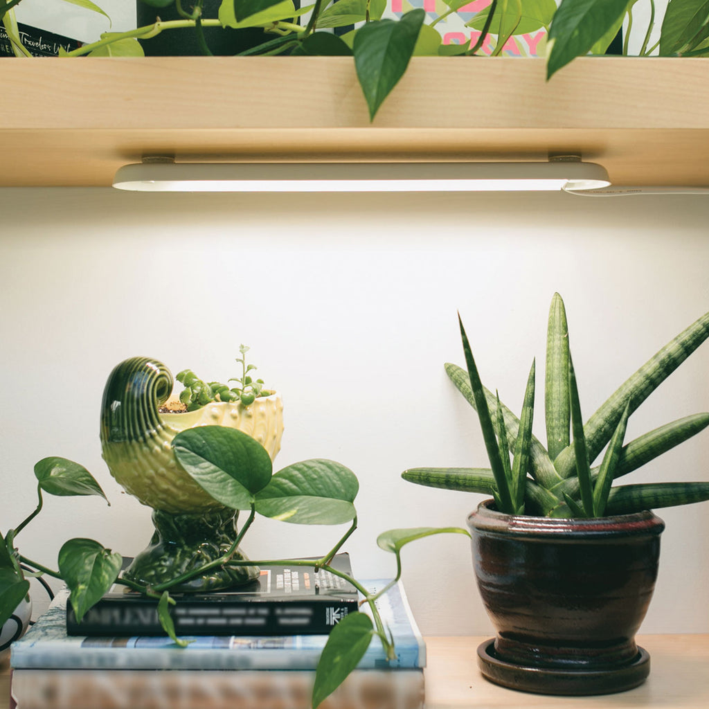 Modern Sprout Smart Growbar | Heirloom Boulevard