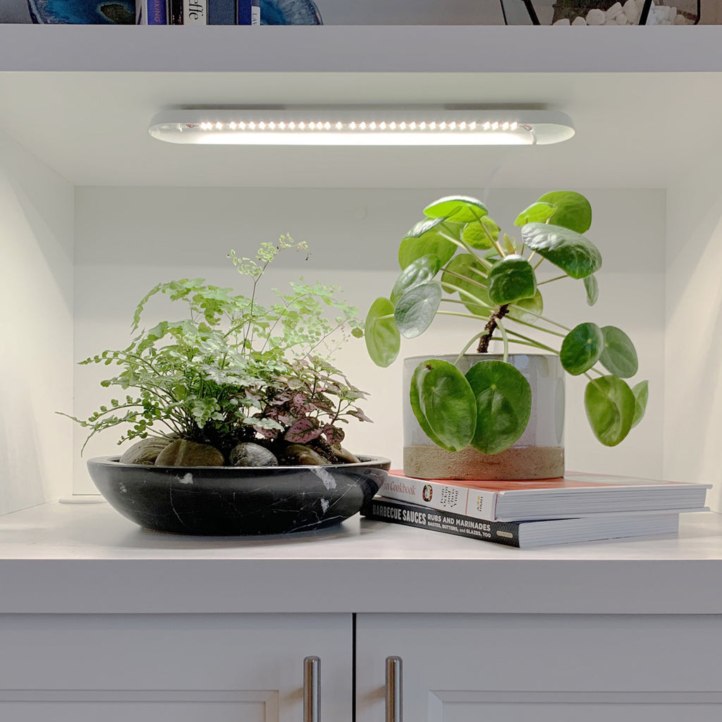 Modern Sprout Smart Growbar | Heirloom Boulevard
