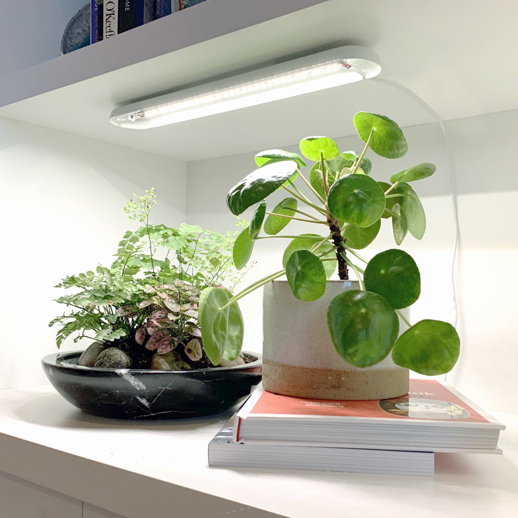 Modern Sprout Smart Growbar | Heirloom Boulevard