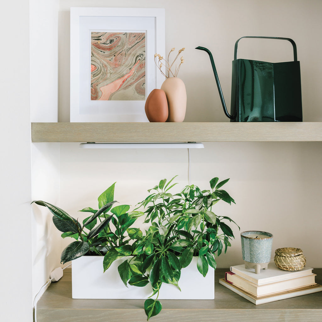 Modern Sprout Smart Growbar | Heirloom Boulevard