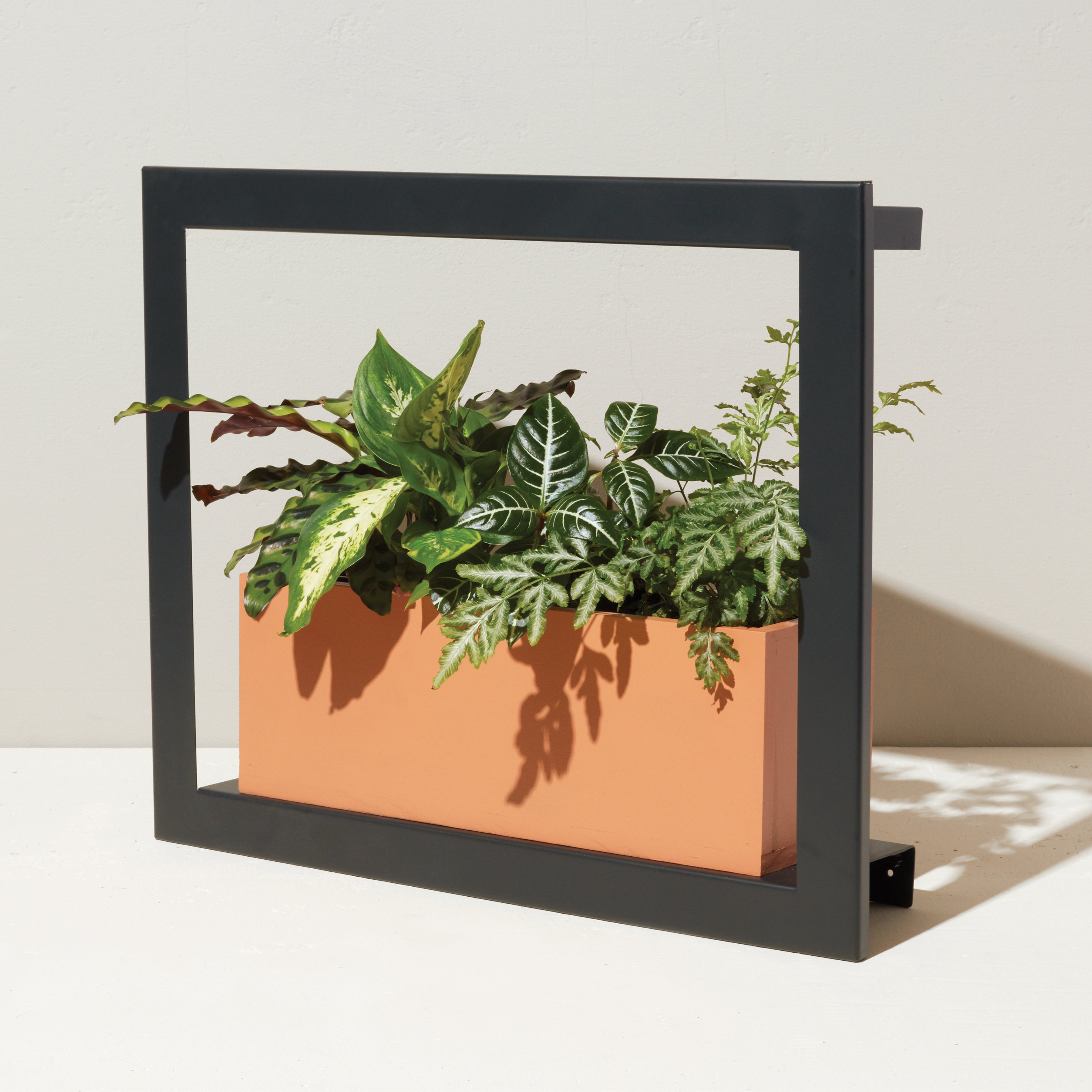 Modern Sprout Smart Standard Growframe | Heirloom Boulevard