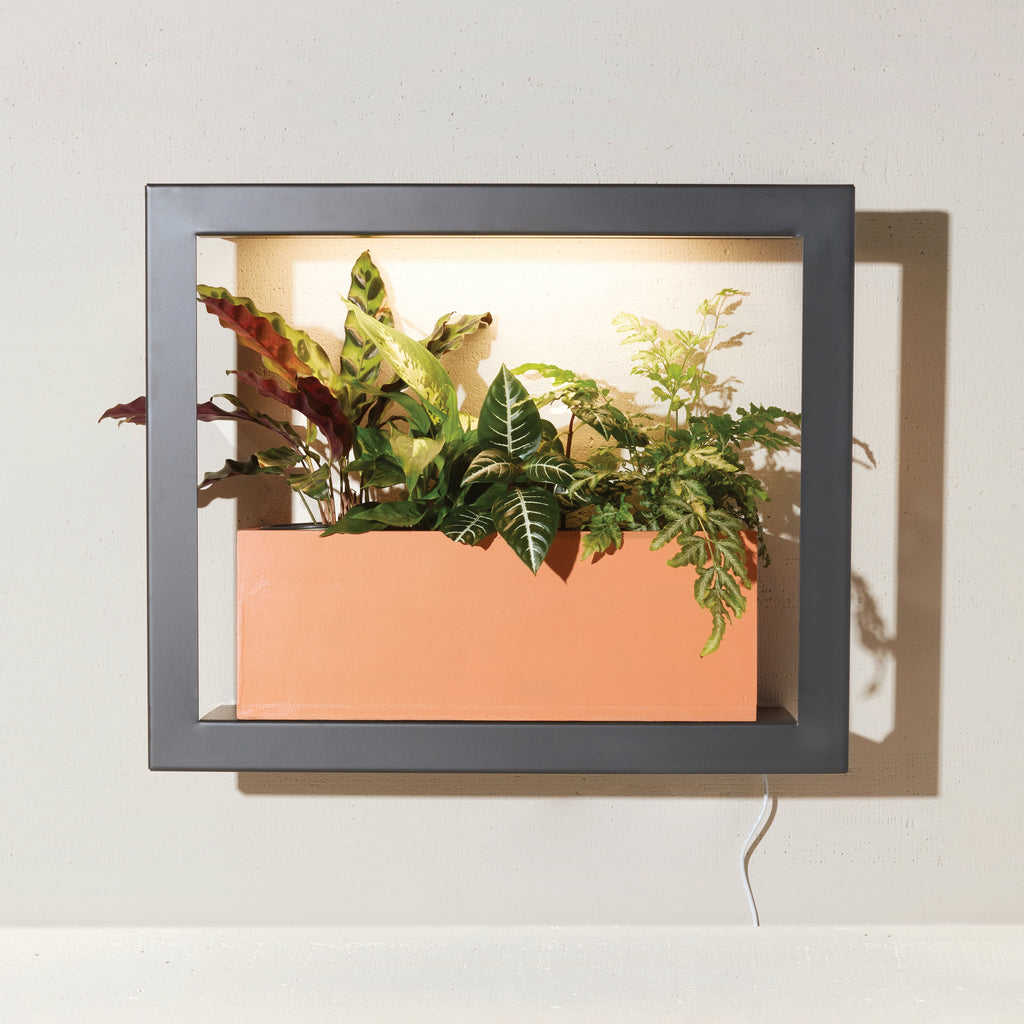 Modern Sprout Smart Standard Growframe | Heirloom Boulevard