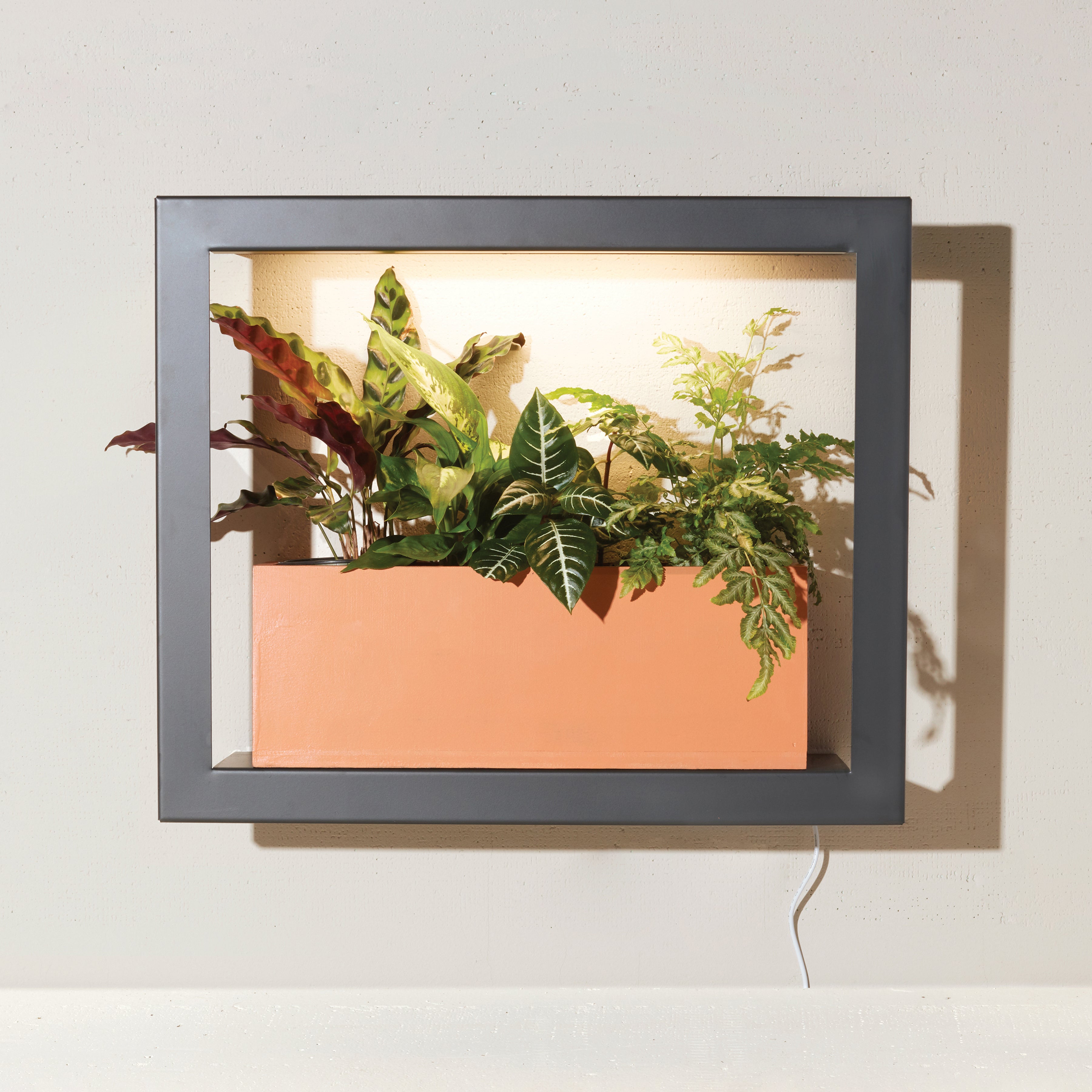 Modern Sprout Smart Standard Growframe | Heirloom Boulevard