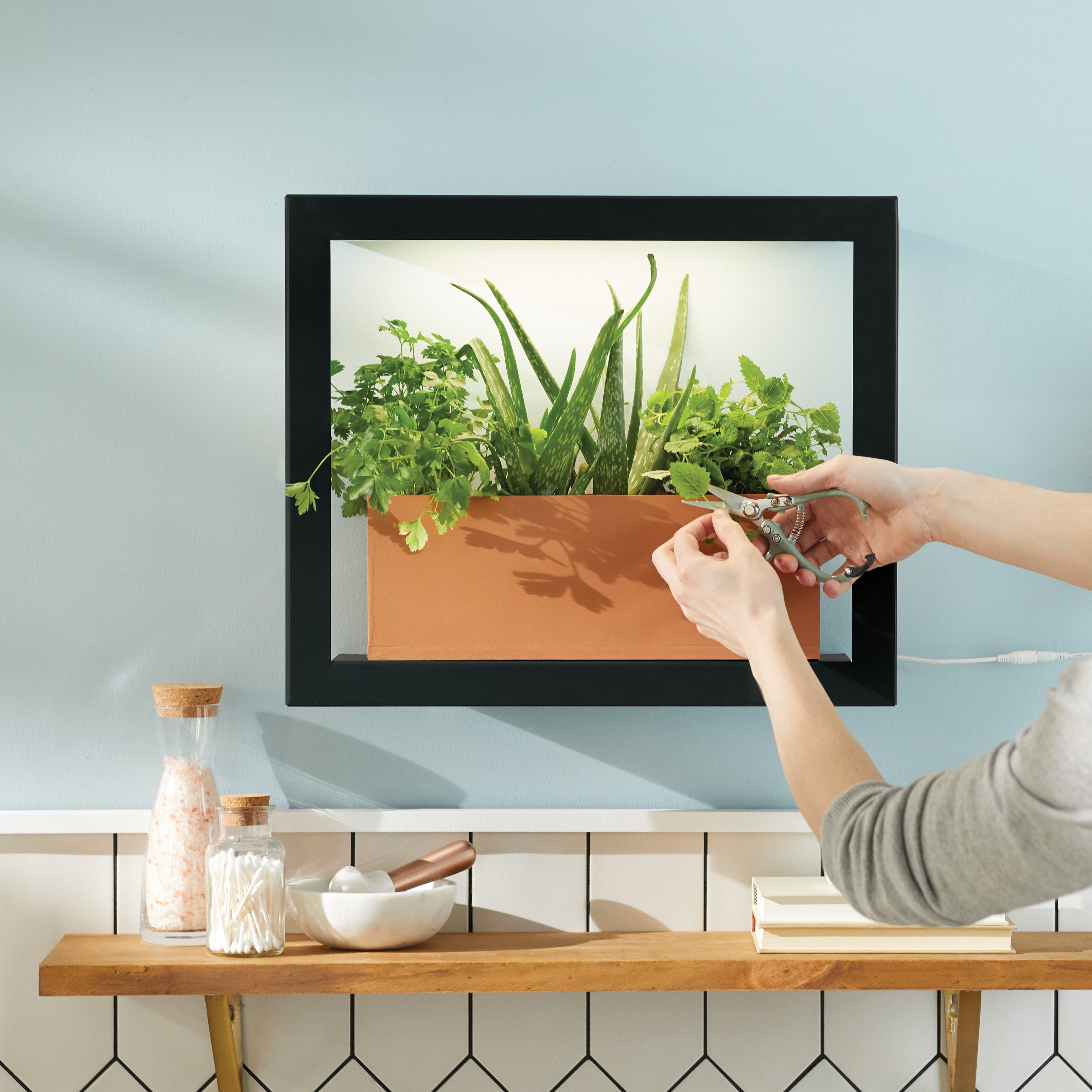 Modern Sprout Smart Standard Growframe