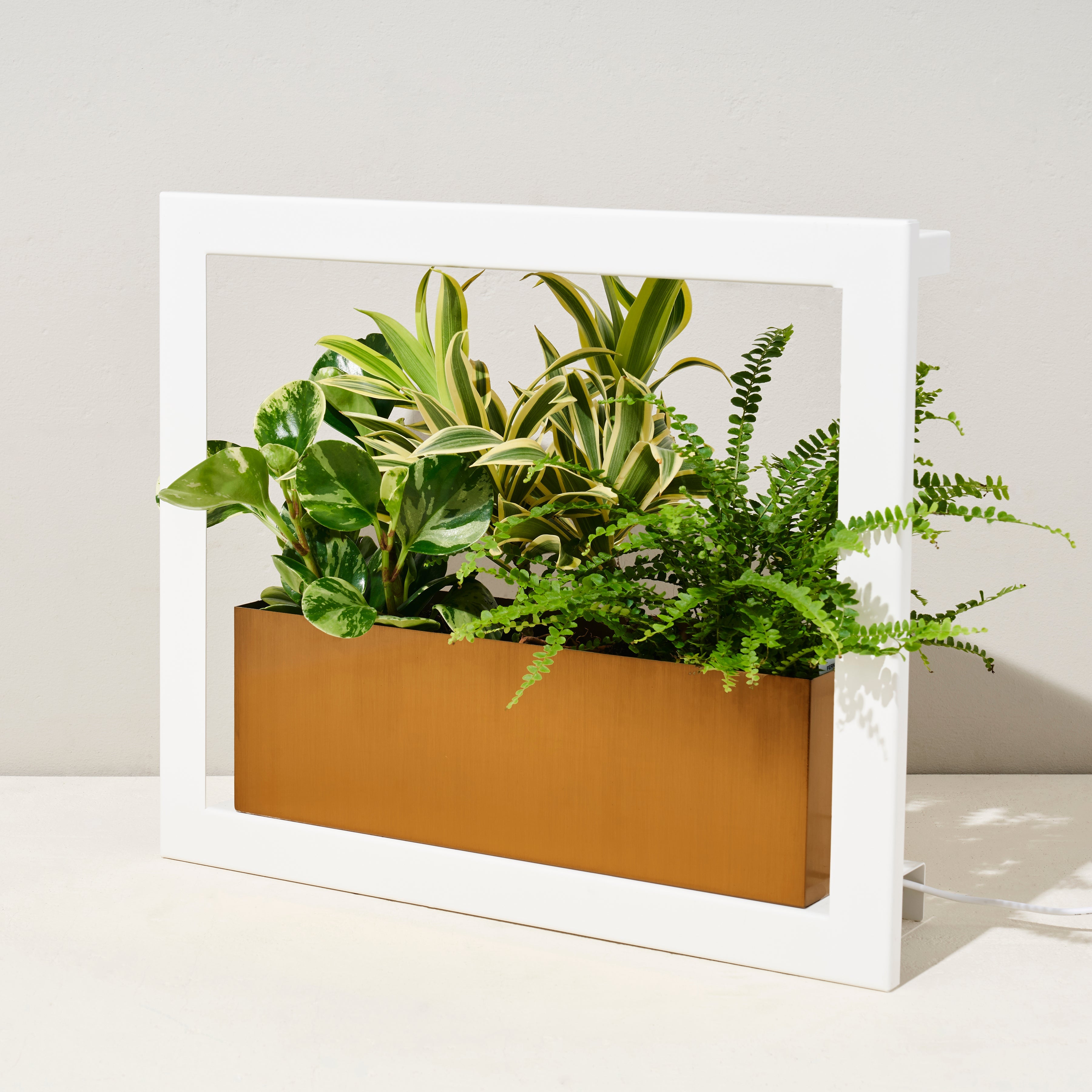 Modern Sprout Smart Standard Growframe | Heirloom Boulevard