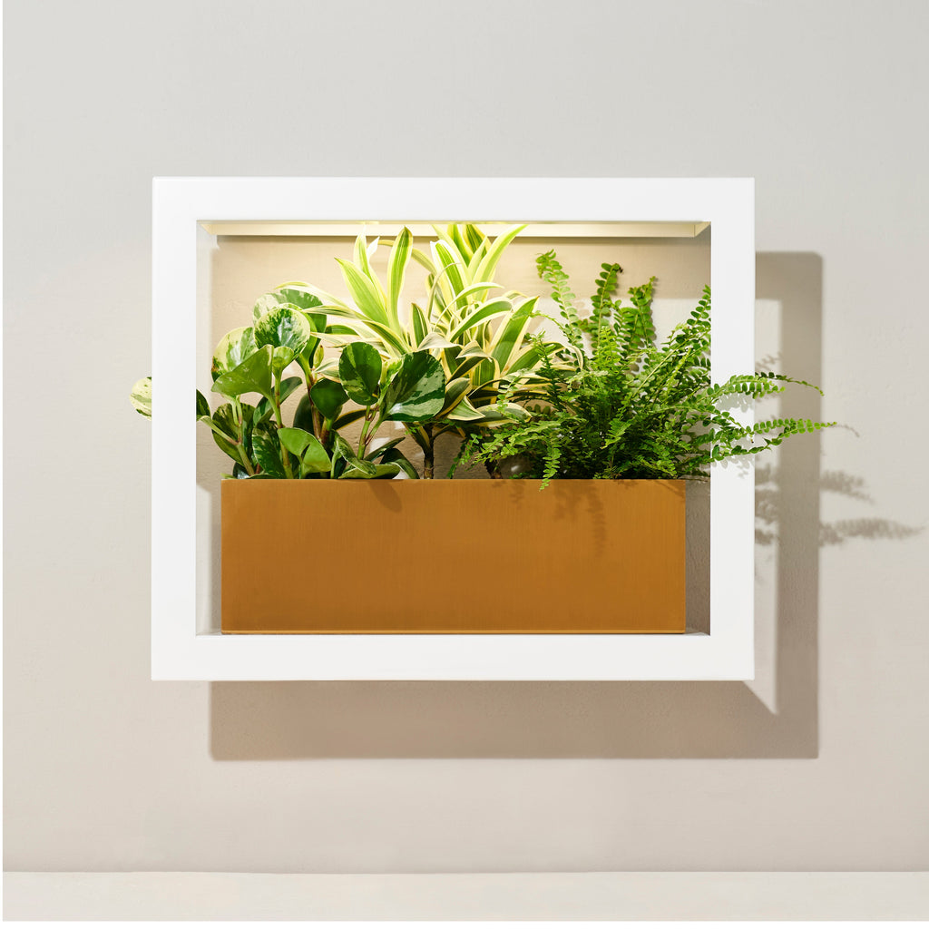 Modern Sprout Smart Standard Growframe | Heirloom Boulevard