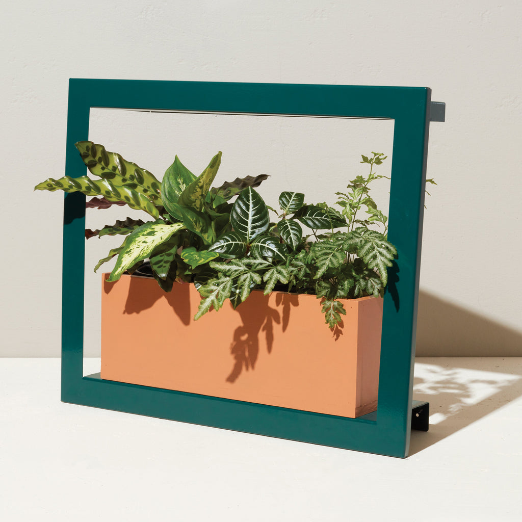 Modern Sprout Smart Standard Growframe | Heirloom Boulevard