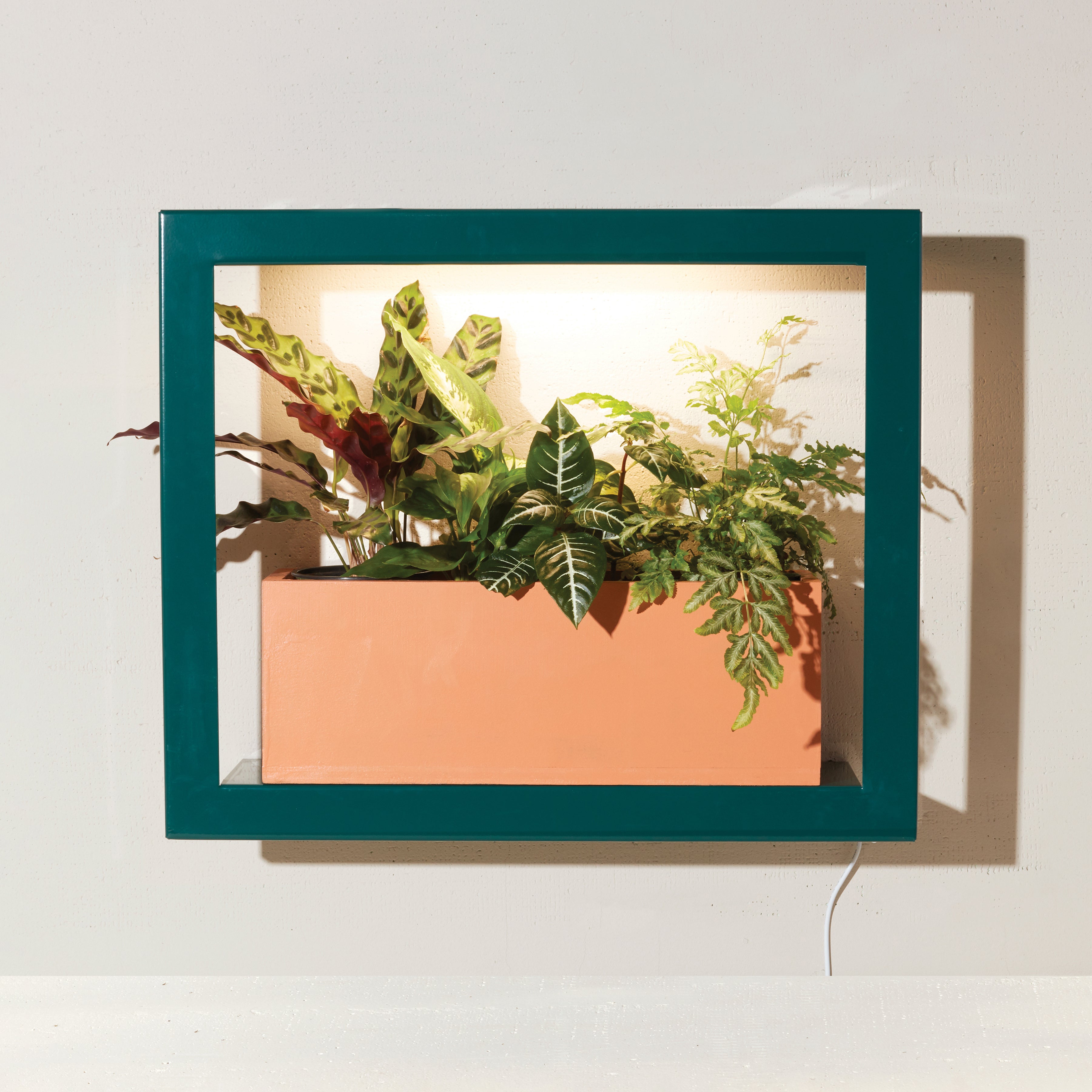 Modern Sprout Smart Standard Growframe | Heirloom Boulevard