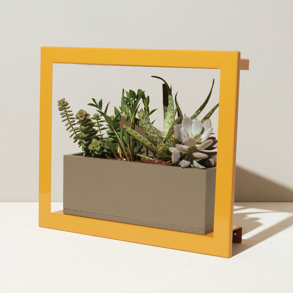Modern Sprout Smart Standard Growframe | Heirloom Boulevard