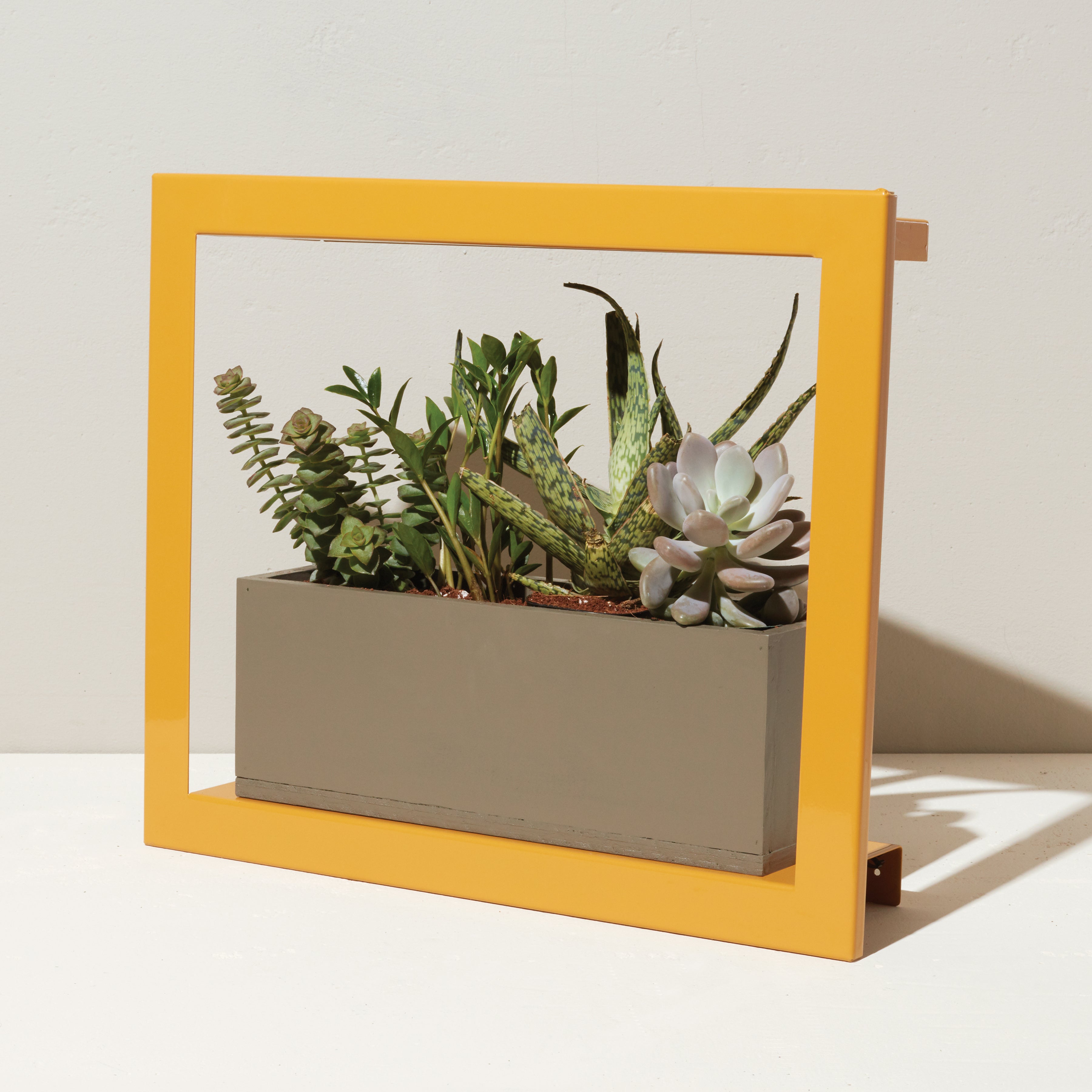 Modern Sprout Smart Standard Growframe | Heirloom Boulevard