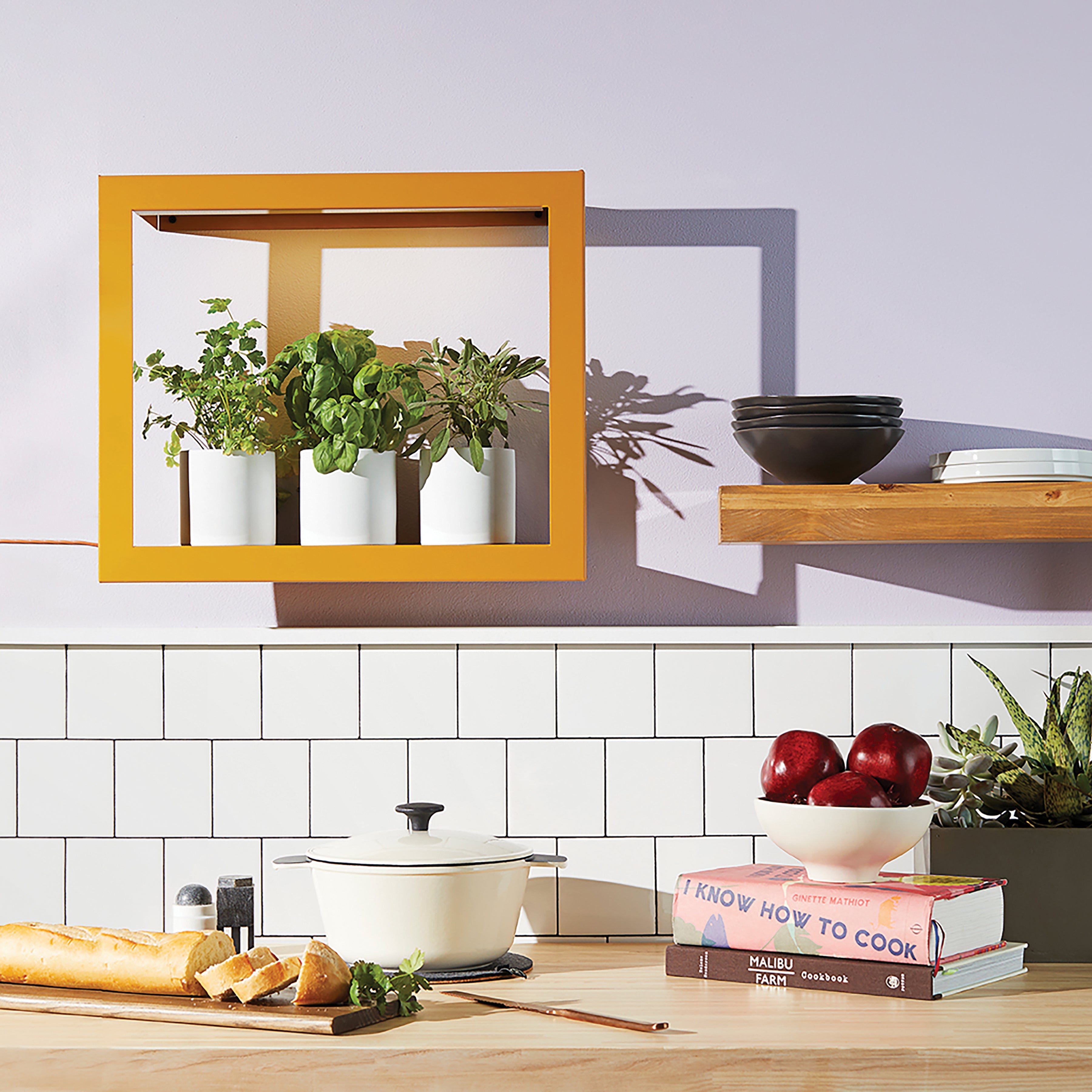 Modern Sprout Smart Standard Growframe | Heirloom Boulevard