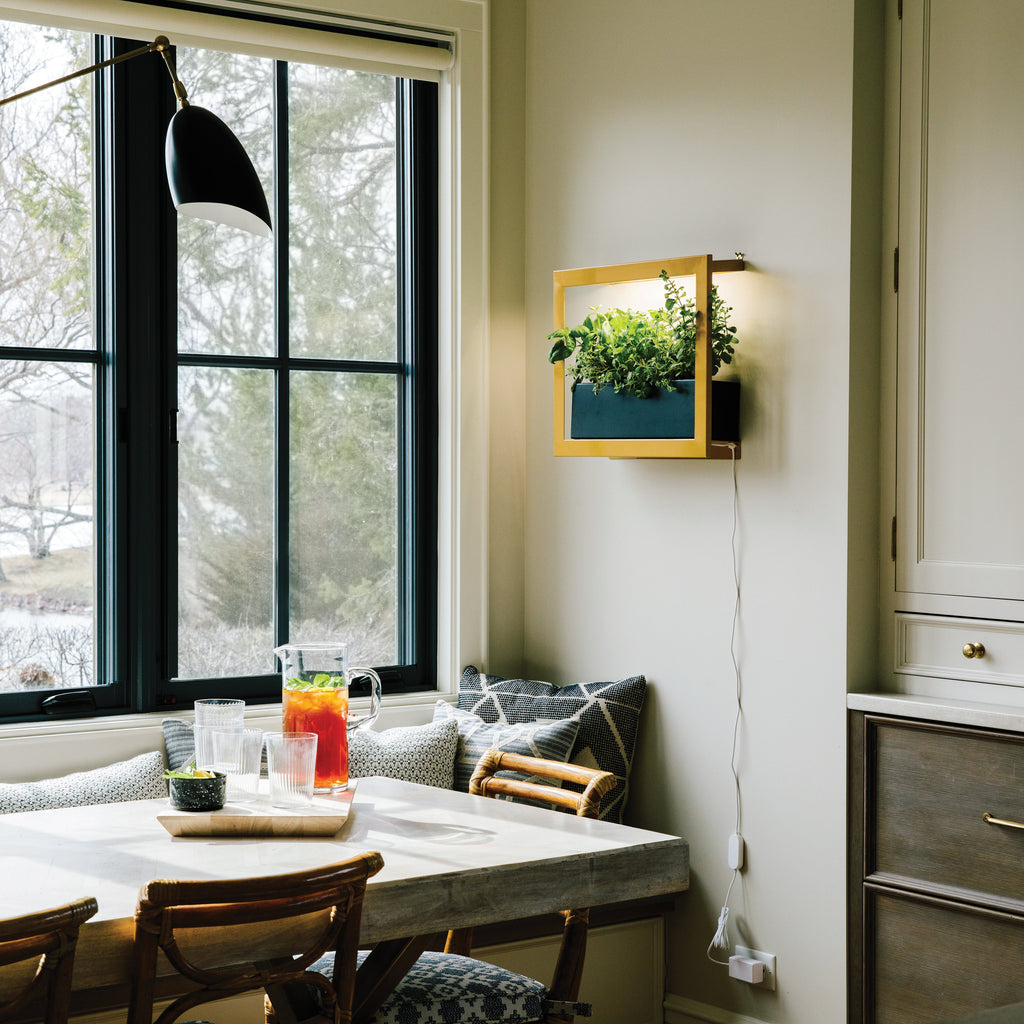 Modern Sprout Smart Standard Growframe | Heirloom Boulevard