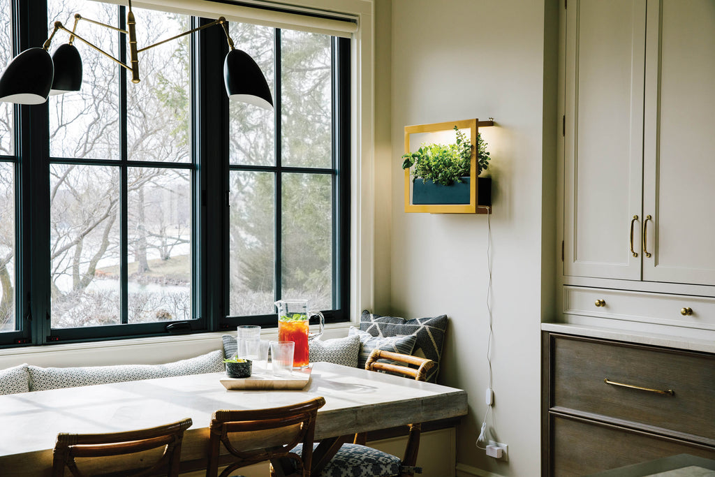 Modern Sprout Smart Standard Growframe